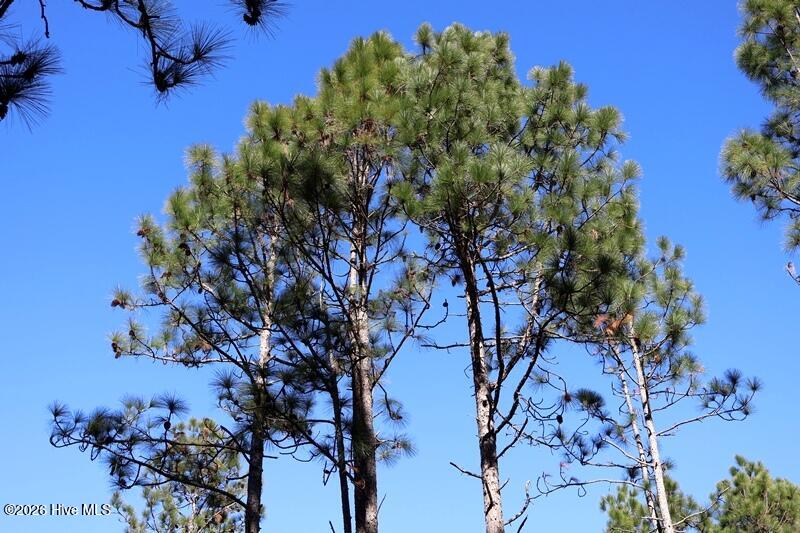 Tbd 7 Nc Hwy 130 Road Property Photo 7