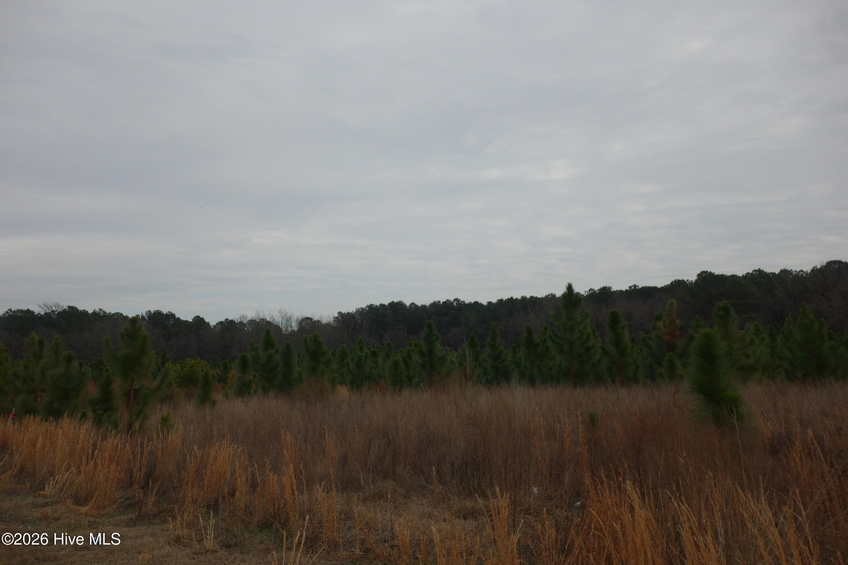 Lot 48 Stuarts Mill Rd Property Photo 1