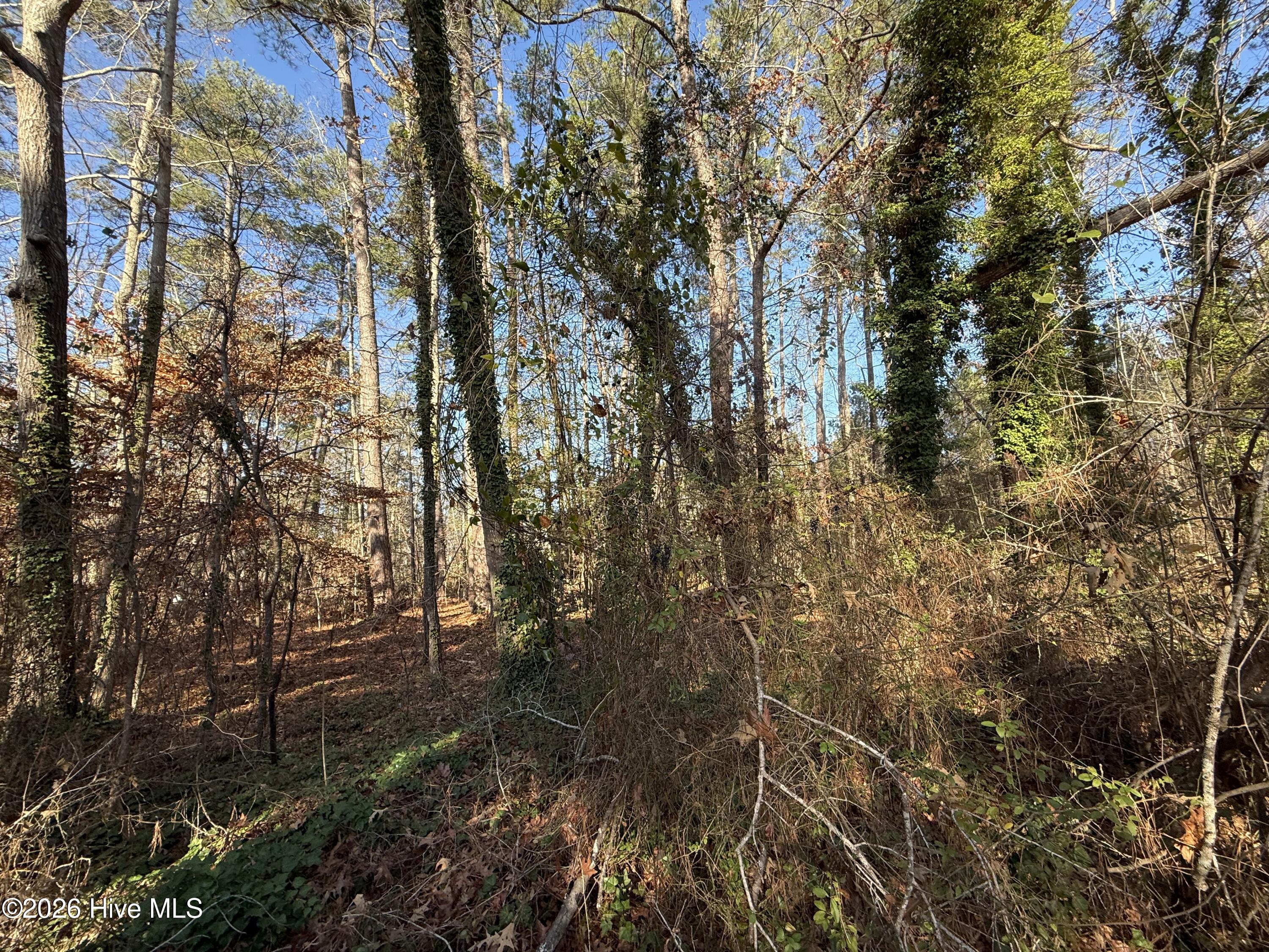 0 Alexander Lane Property Photo 11