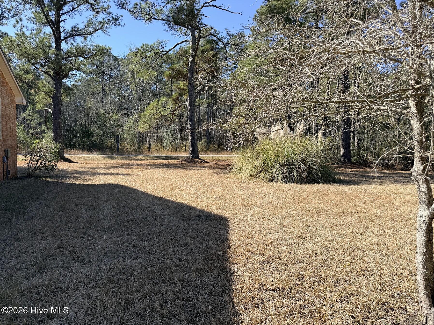 19 Wilkins Road Property Photo 7
