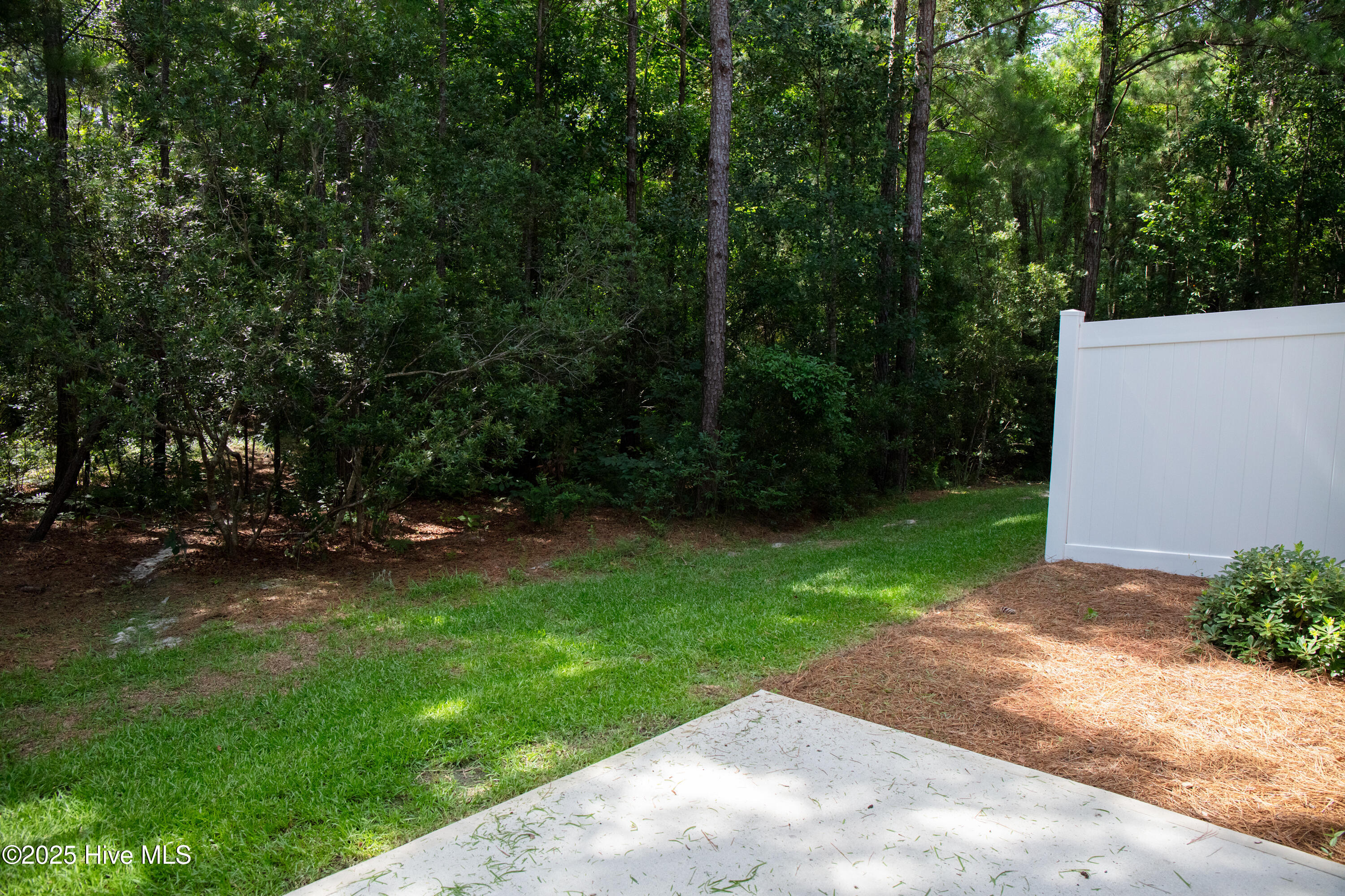 1508 Dove Shell Way Property Photo 19