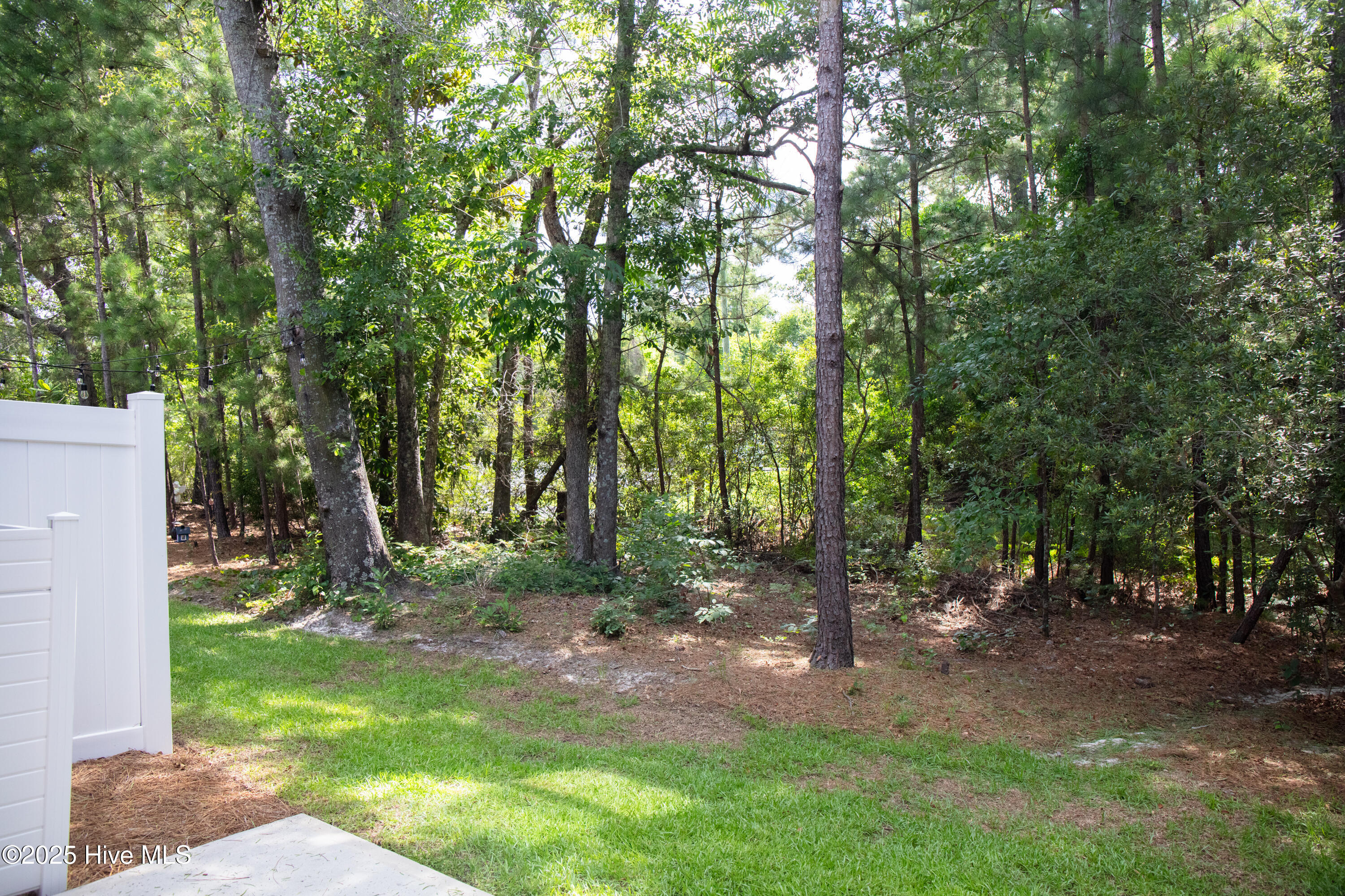 1508 Dove Shell Way Property Photo 20