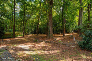 52 Dogwood Acres Drive Property Photo 83