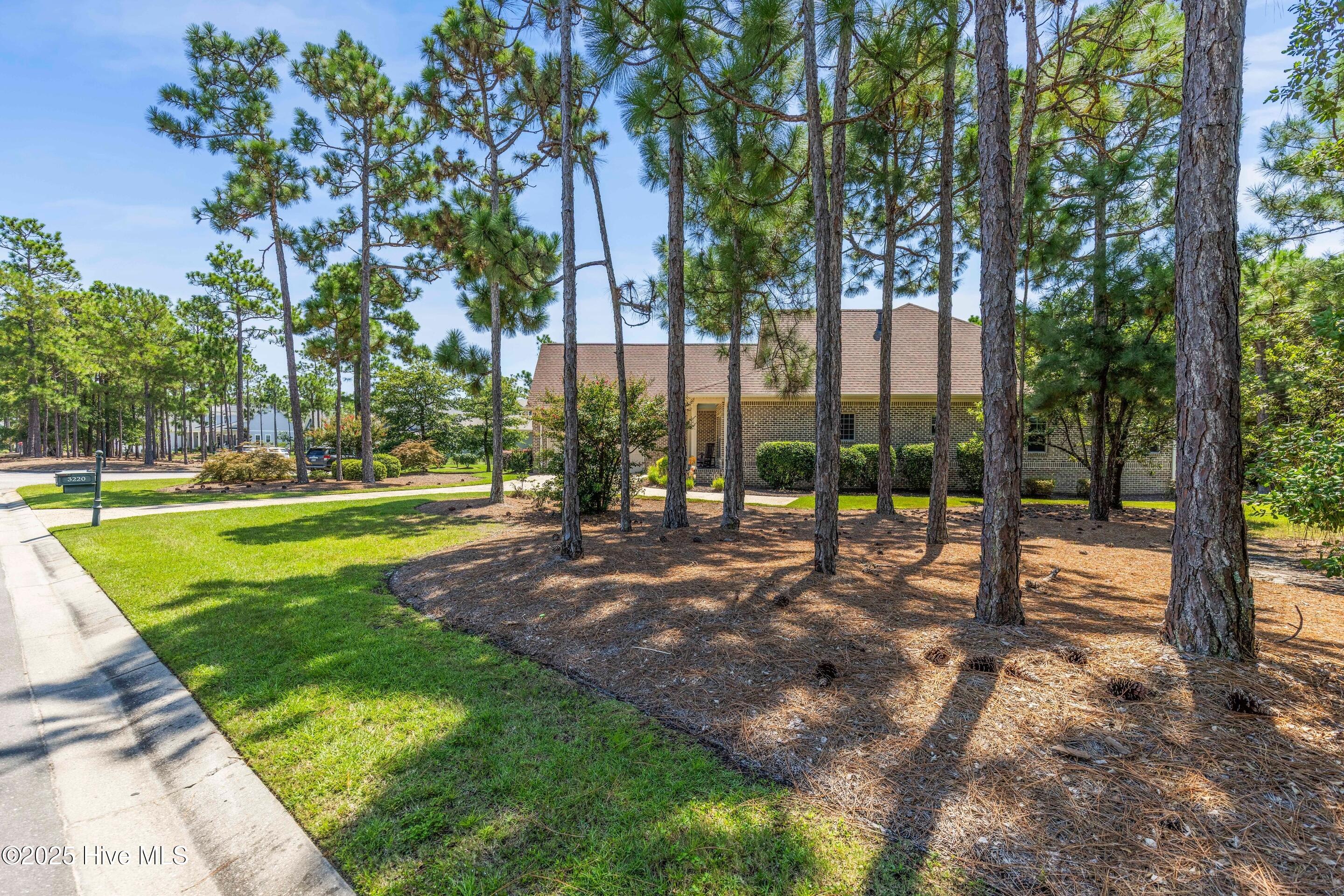 3220 Moss Hammock Wynd Property Photo 64