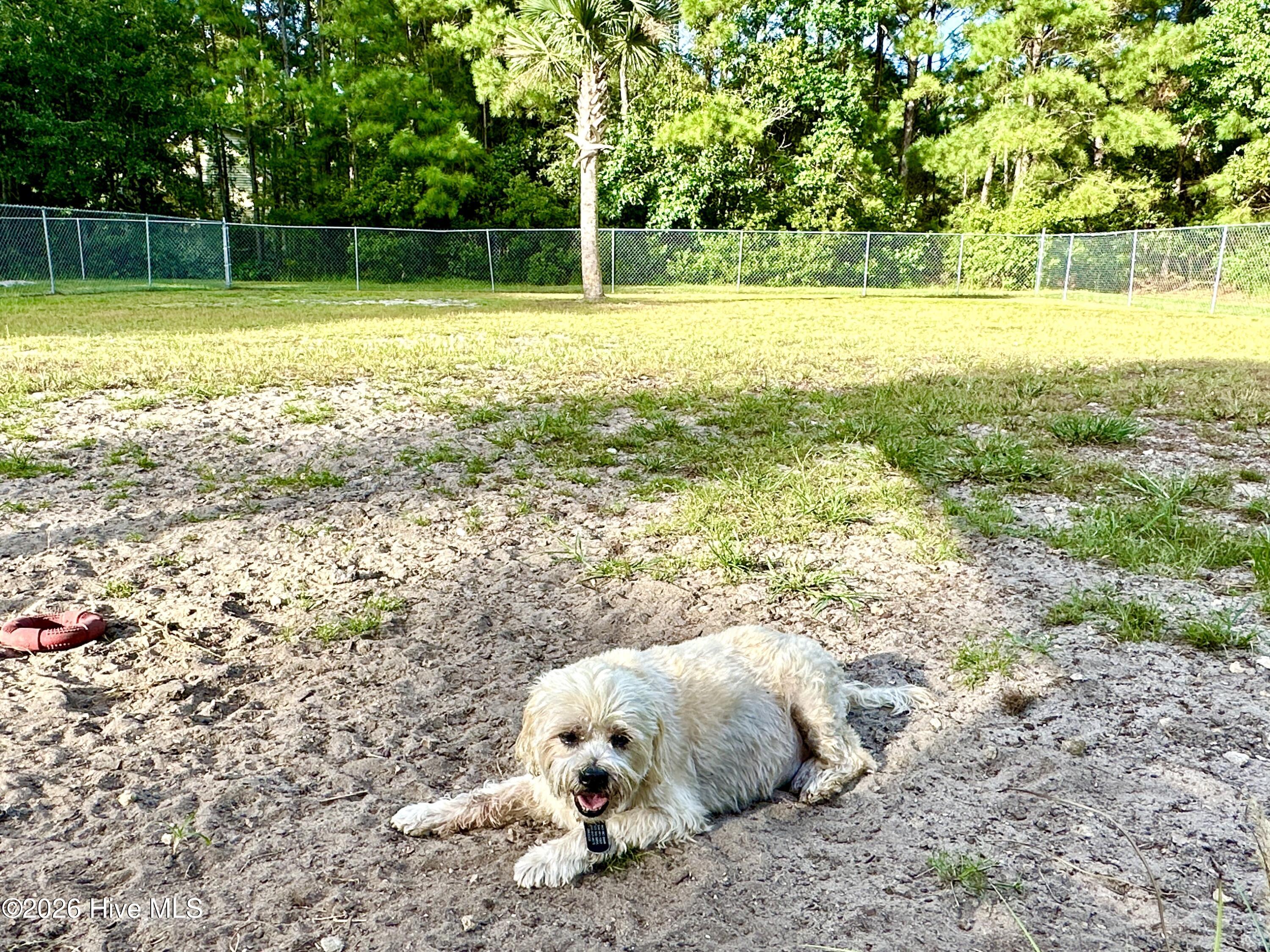 802 Black Swan Road Property Photo 54