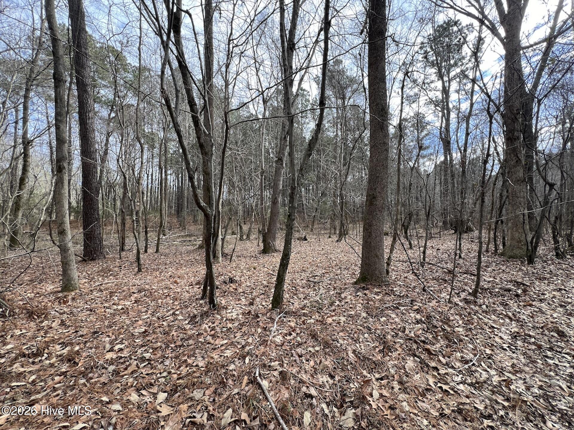 405 23 Batts Island Road Property Photo 7