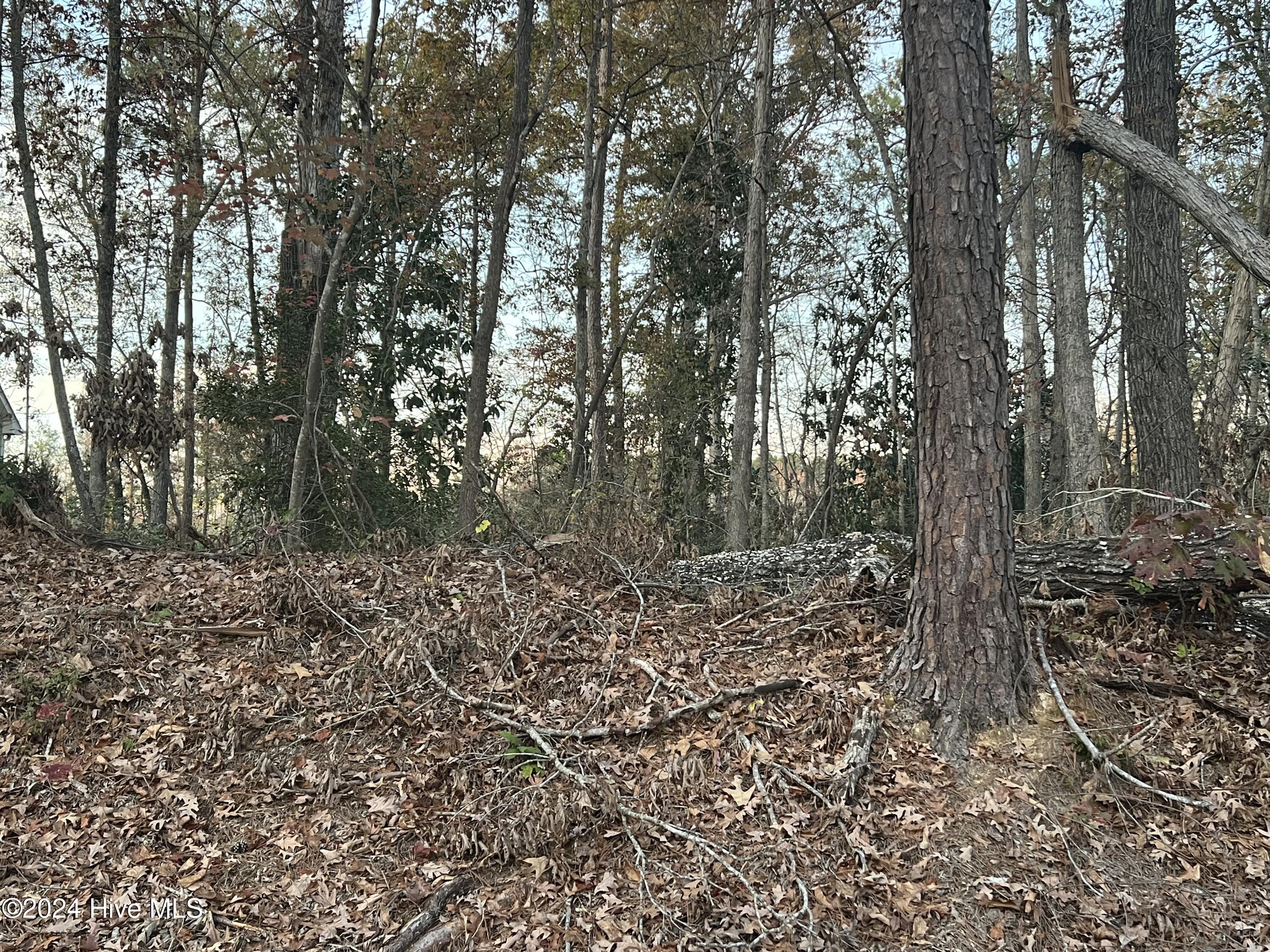 204 Lakeview Drive Property Photo 2