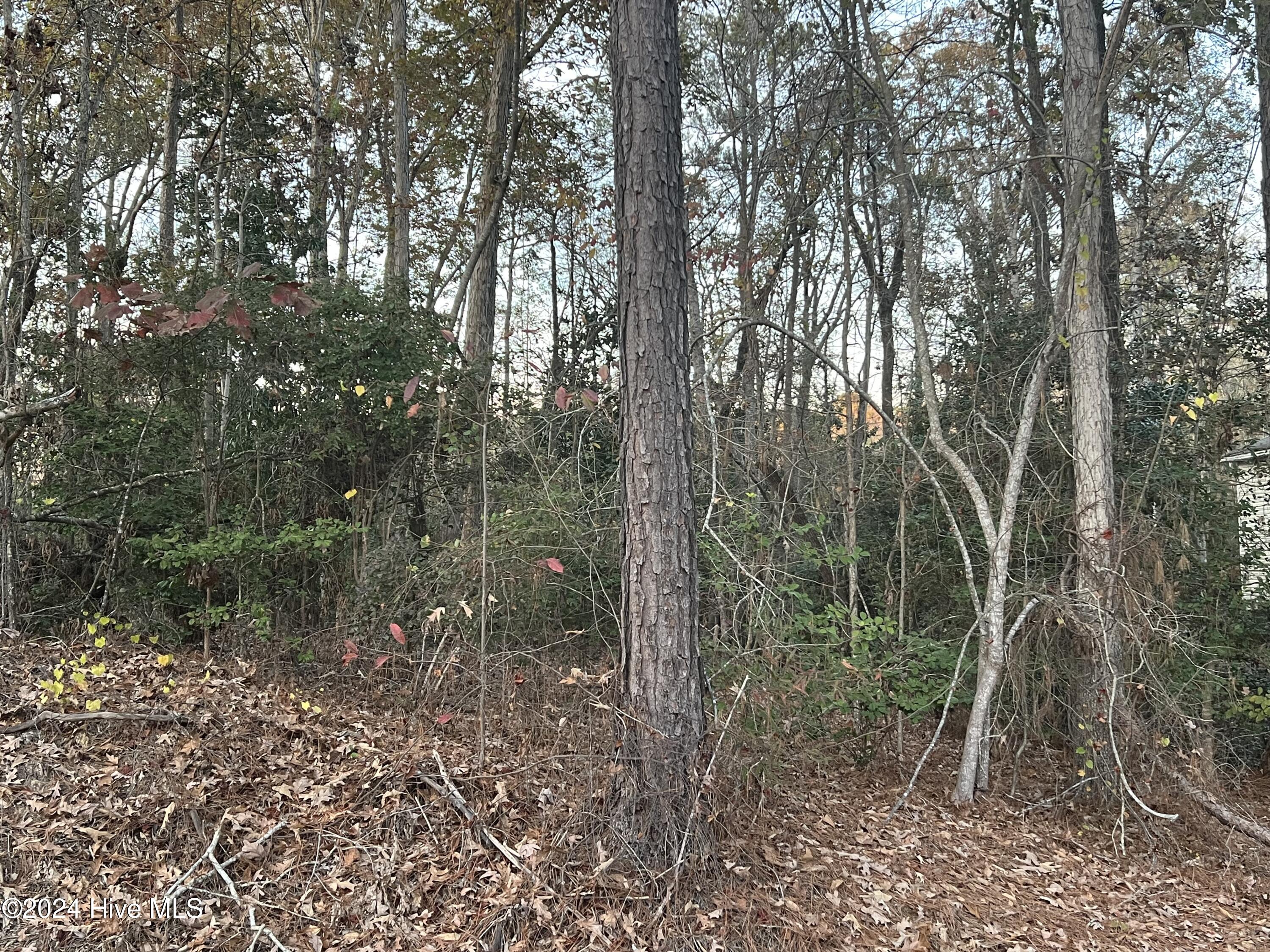 204 Lakeview Drive Property Photo 3