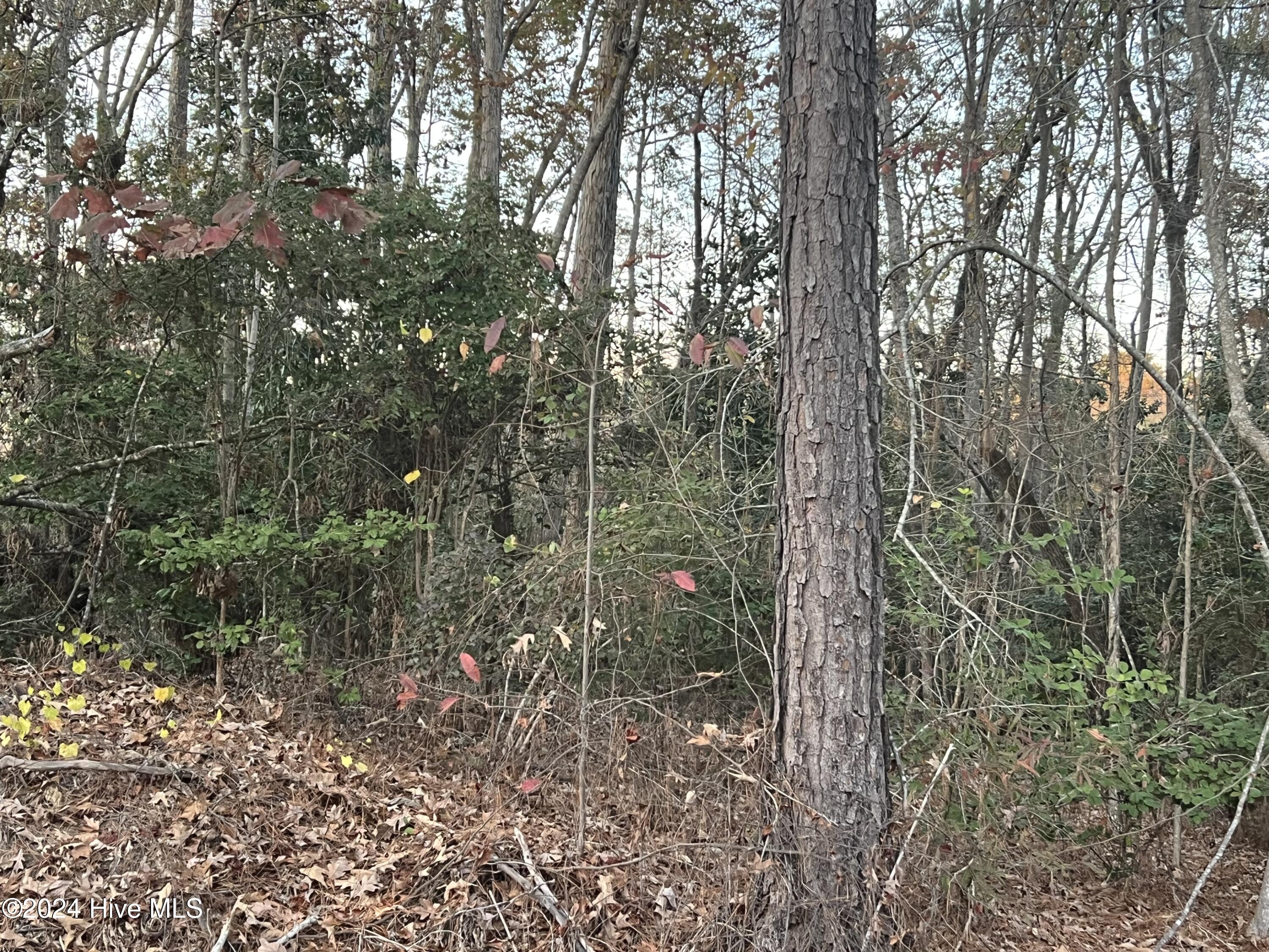 204 Lakeview Drive Property Photo 4