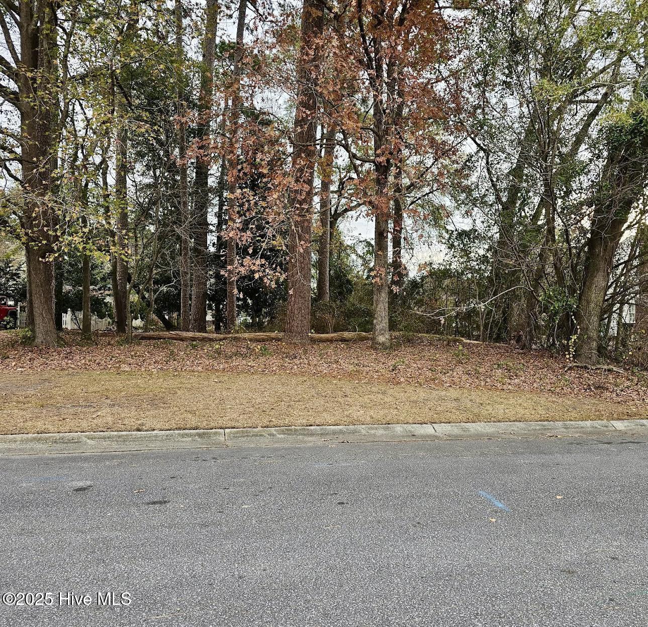 2905 8 Tacoma Drive Property Photo 1