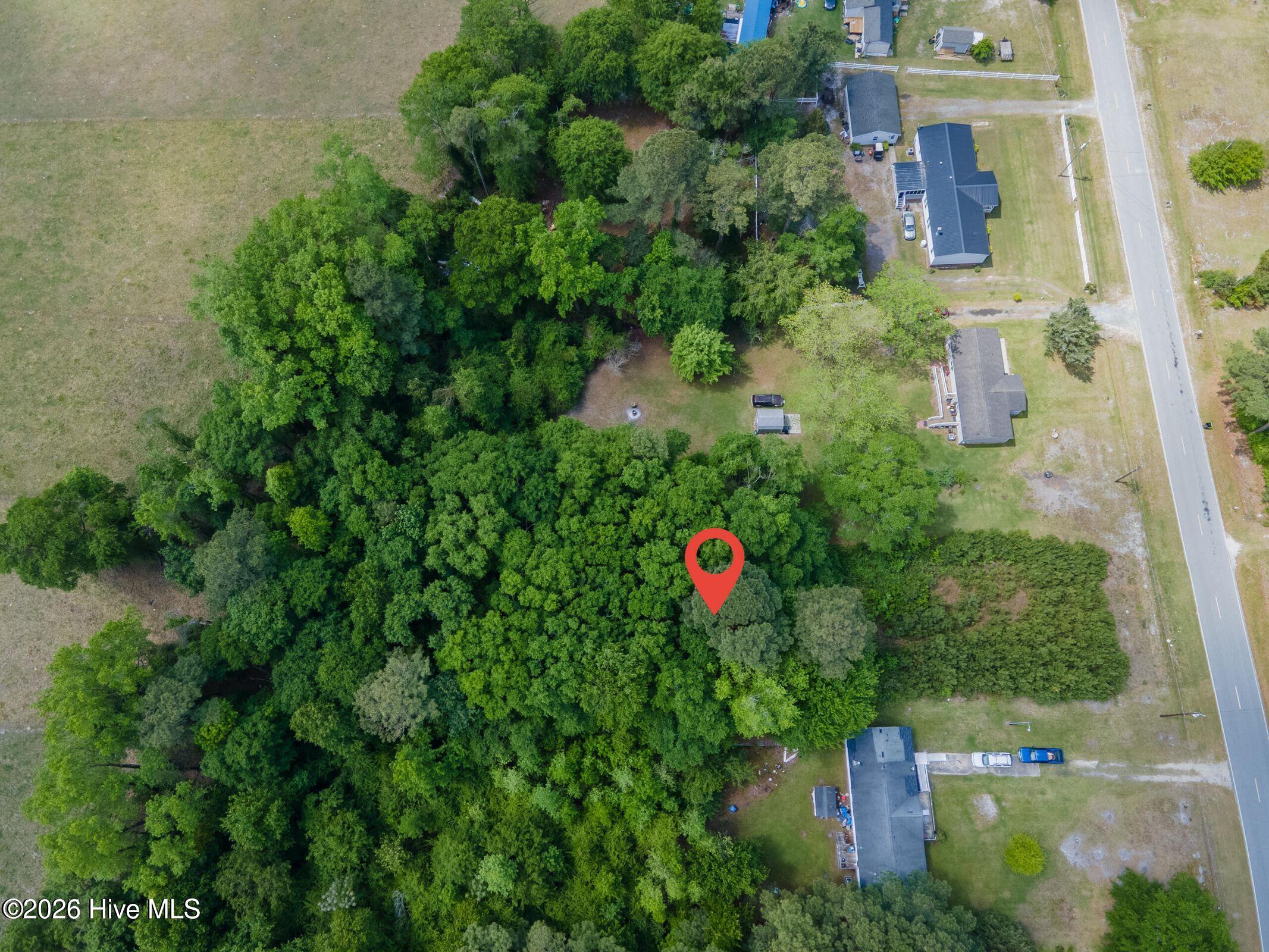 1807 F Will Cunningham Road Property Photo 8