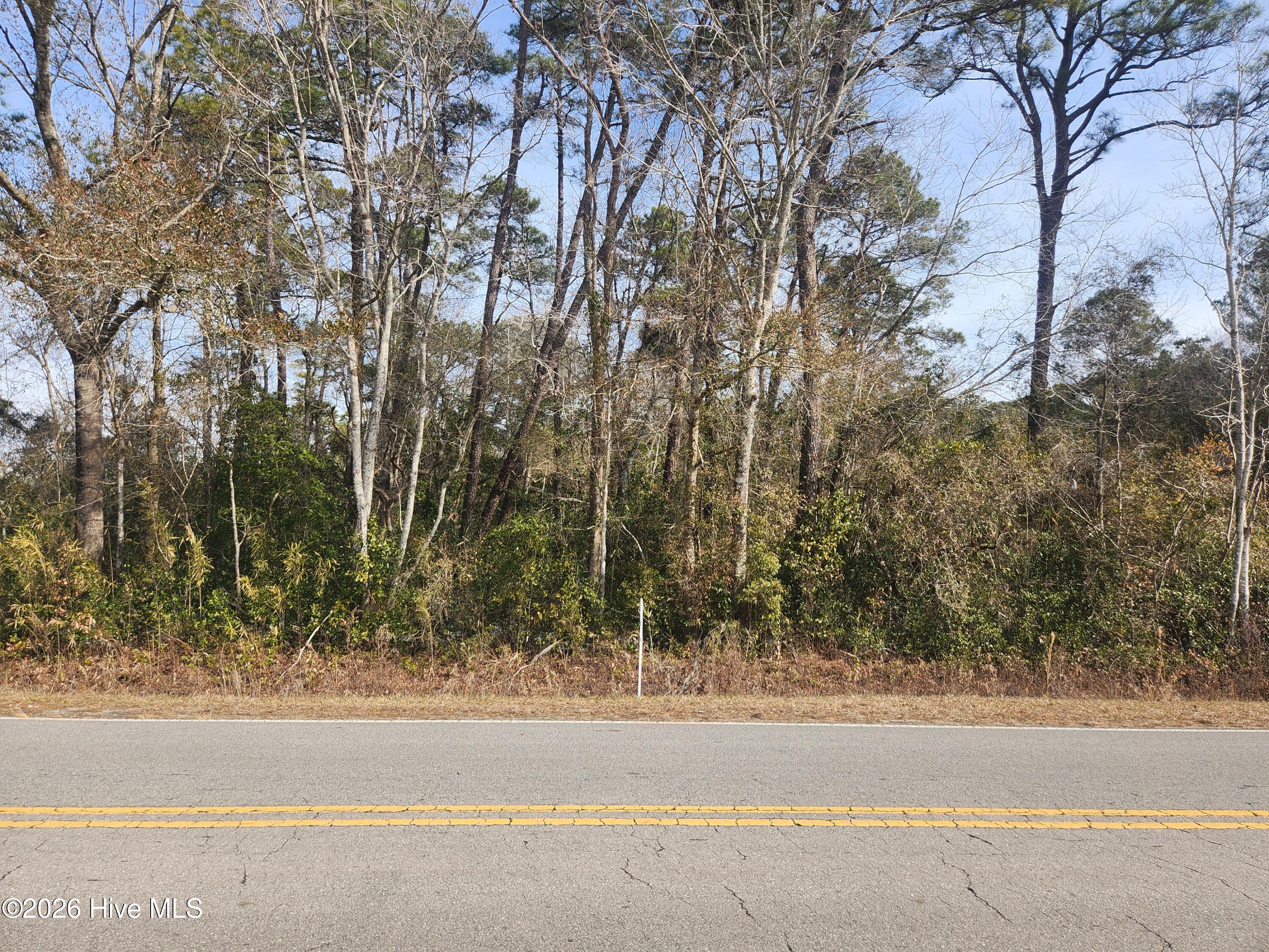 .9 Ac Colon Mintz Road Property Photo 1
