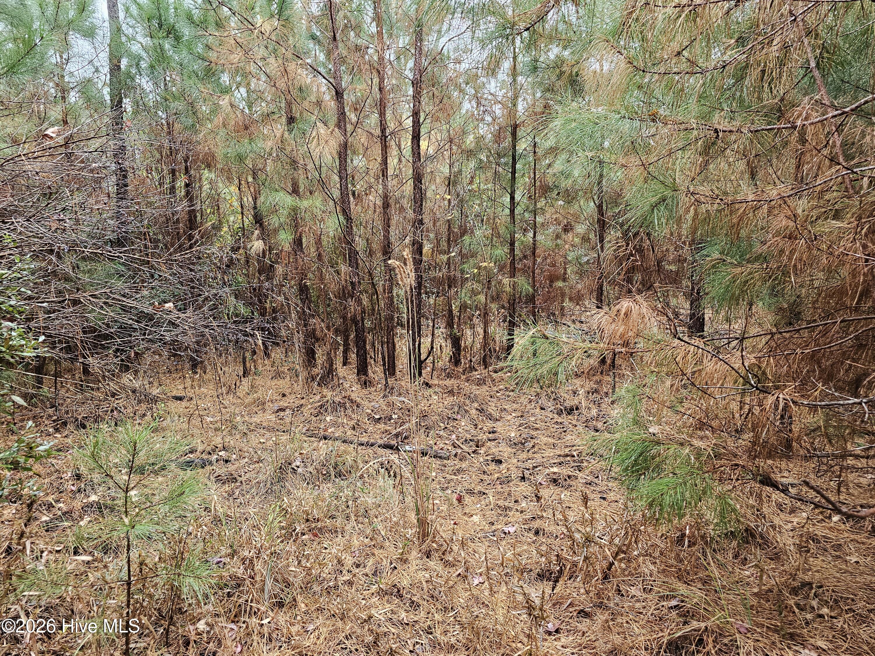 0 Nc-304 Property Photo 5