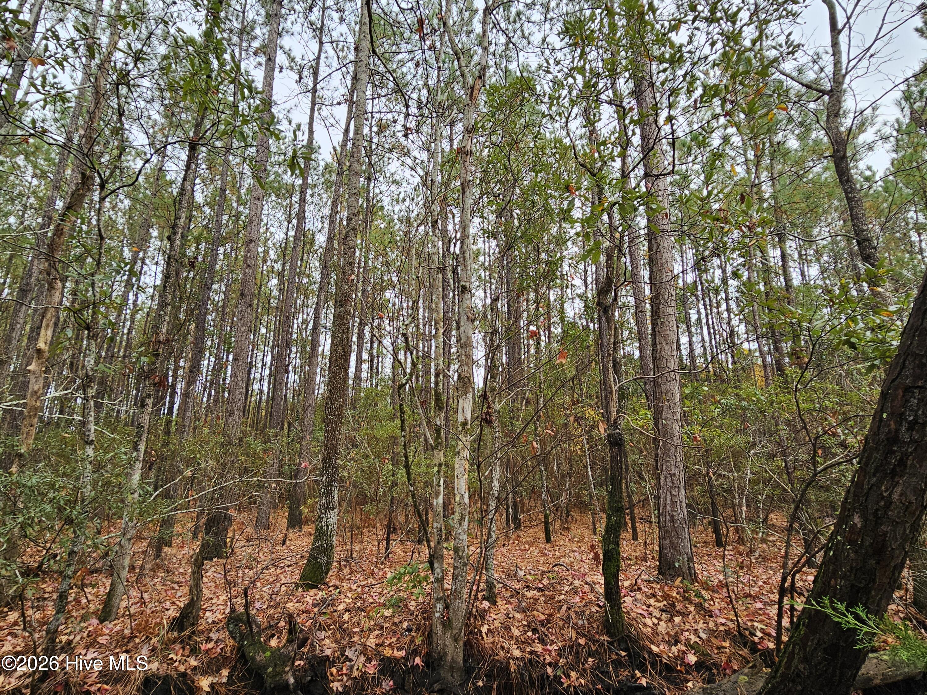 0 Nc-304 Property Photo 18