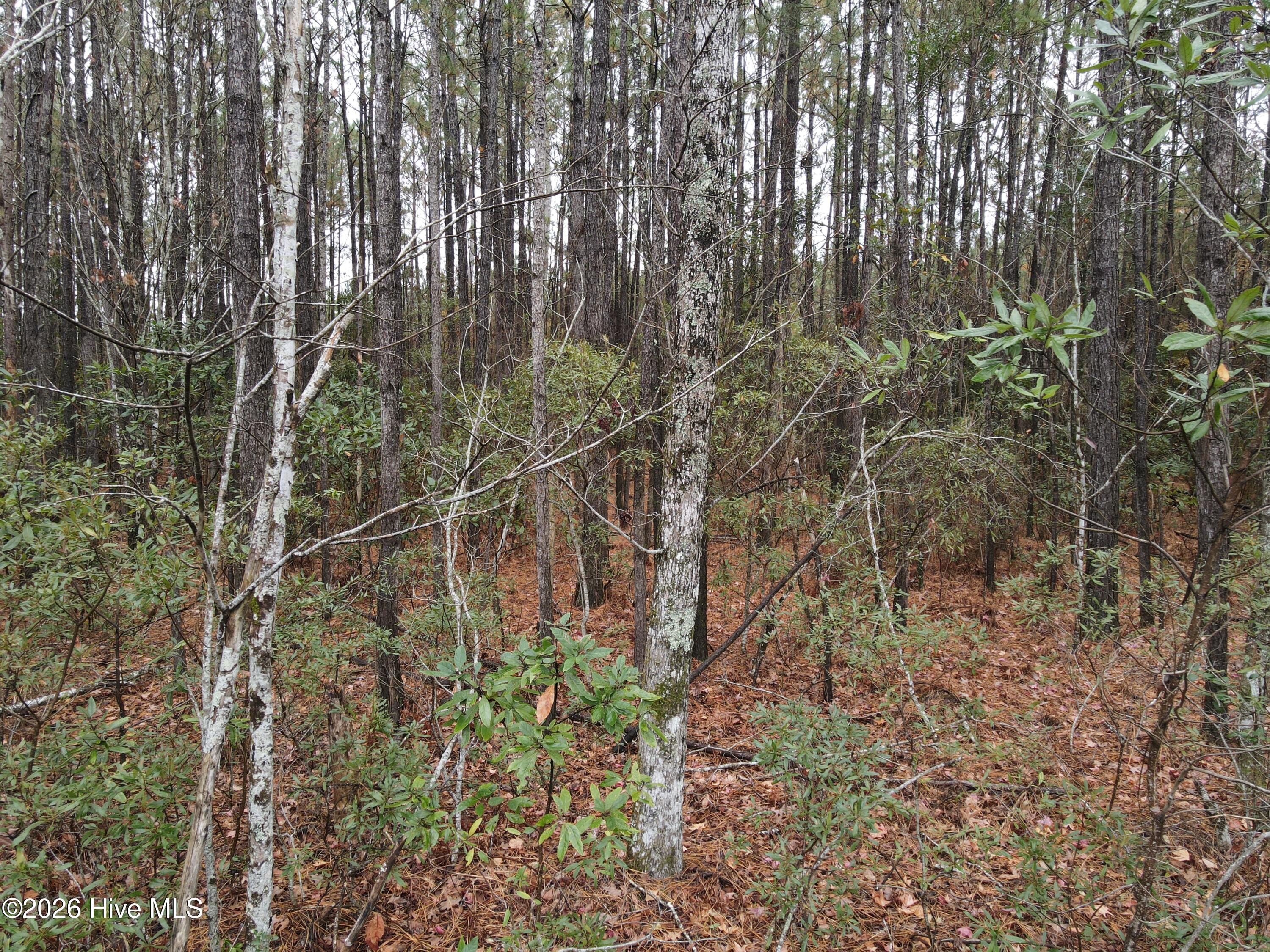 0 Nc-304 Property Photo 20