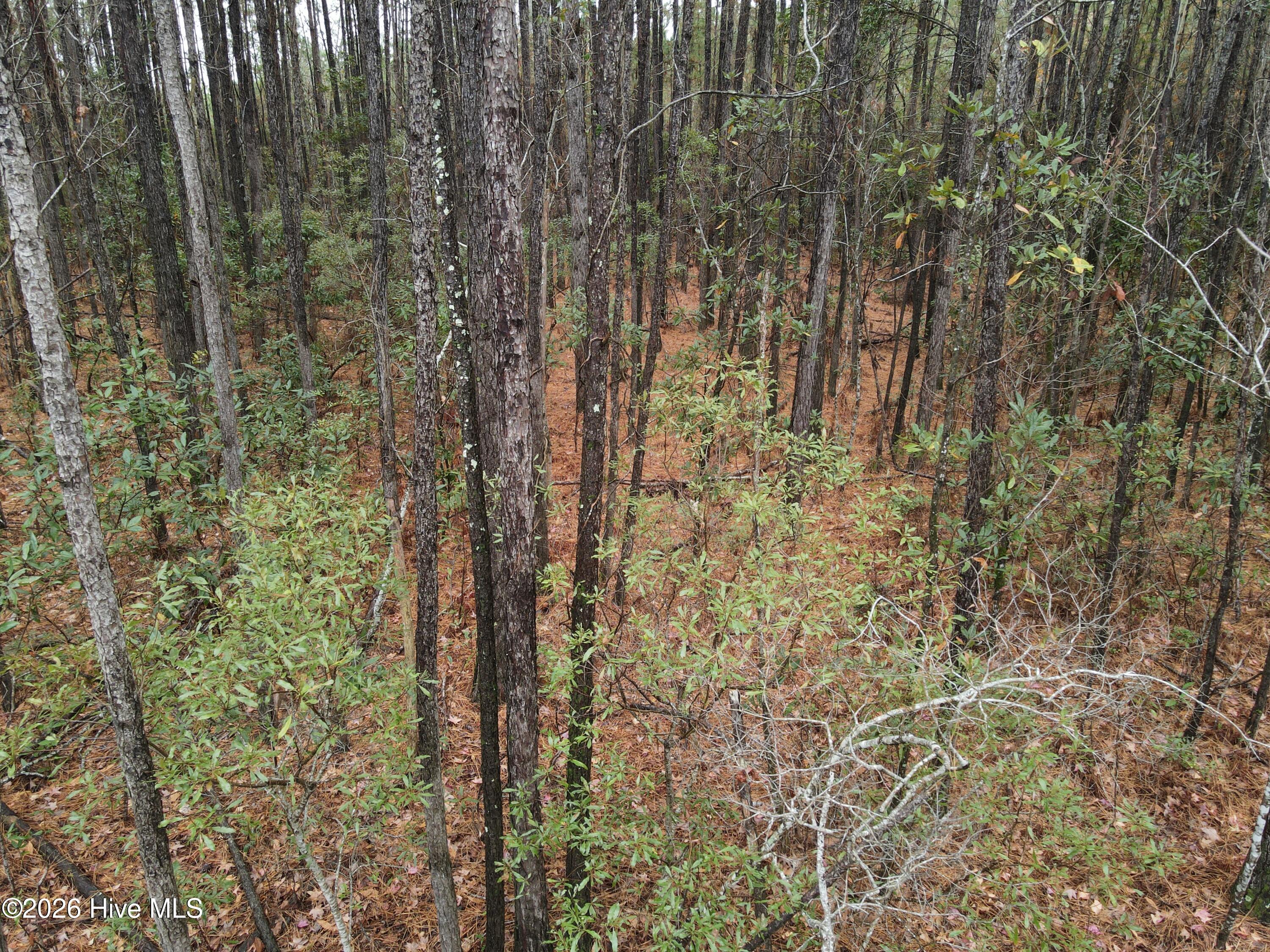 0 Nc-304 Property Photo 22