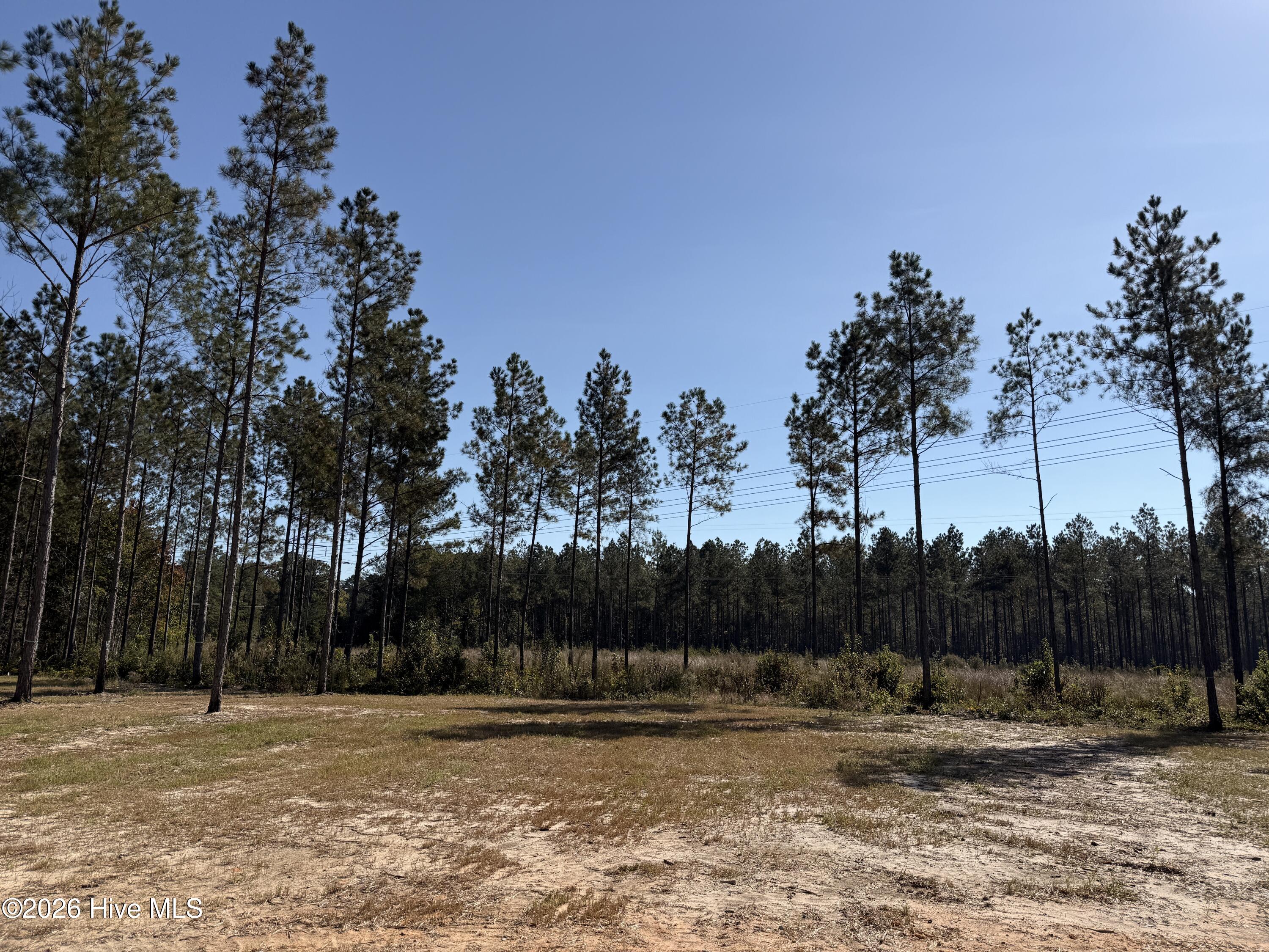 215 Whispering Ridge Property Photo 42