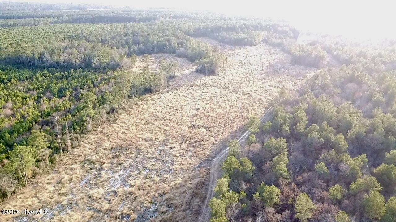 000 Rogers Mill Road Property Photo 5