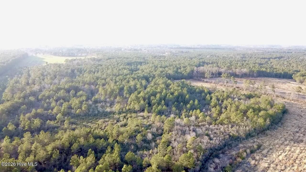 000 Rogers Mill Road Property Photo 6