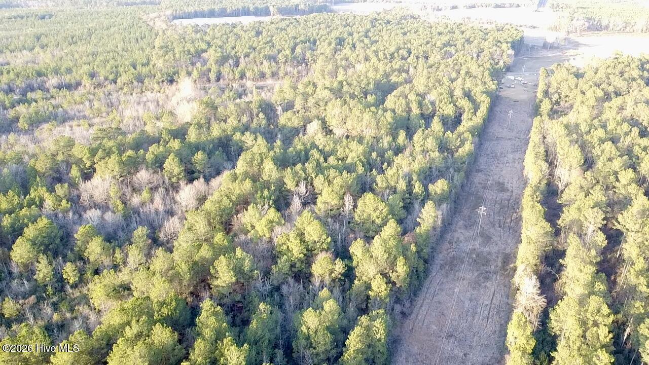 000 Rogers Mill Road Property Photo 9