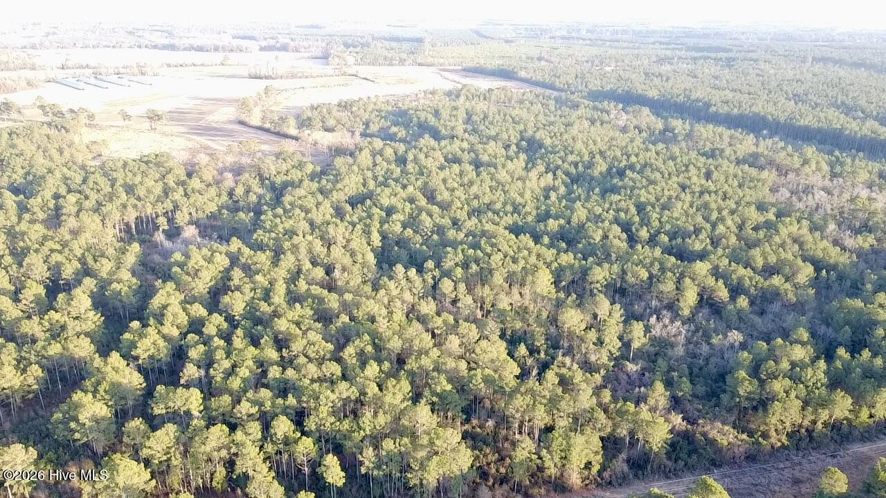 000 Rogers Mill Road Property Photo 12
