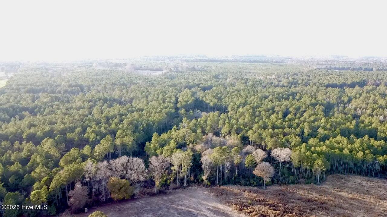 000 Rogers Mill Road Property Photo 23
