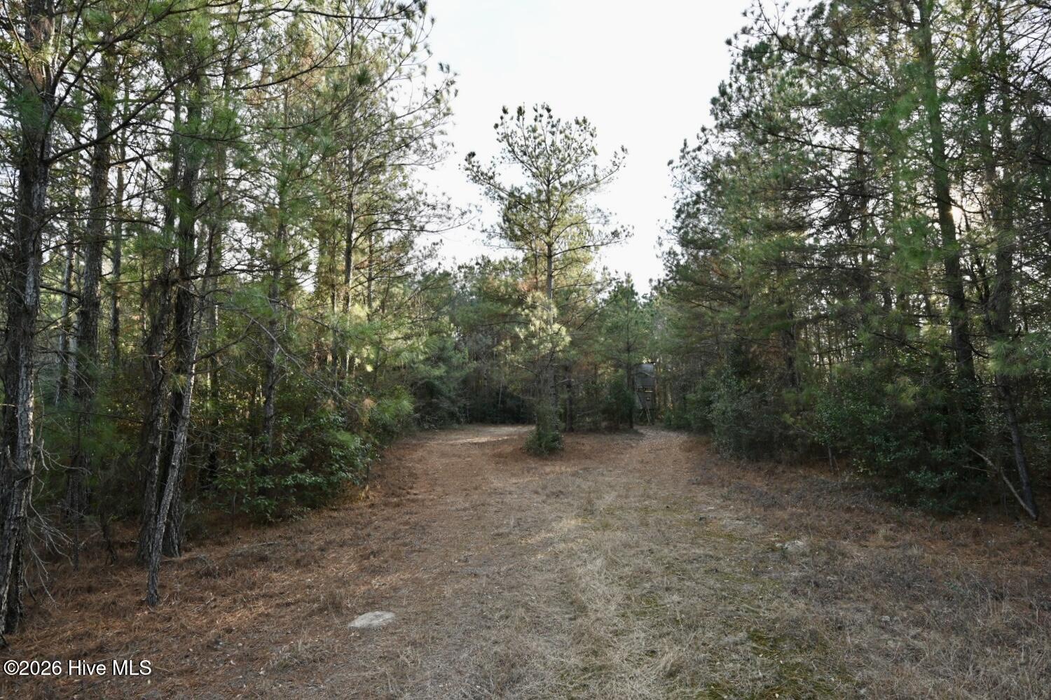 000 Rogers Mill Road Property Photo 37