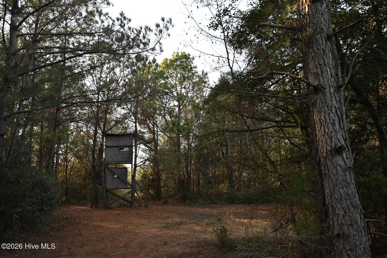 000 Rogers Mill Road Property Photo 38