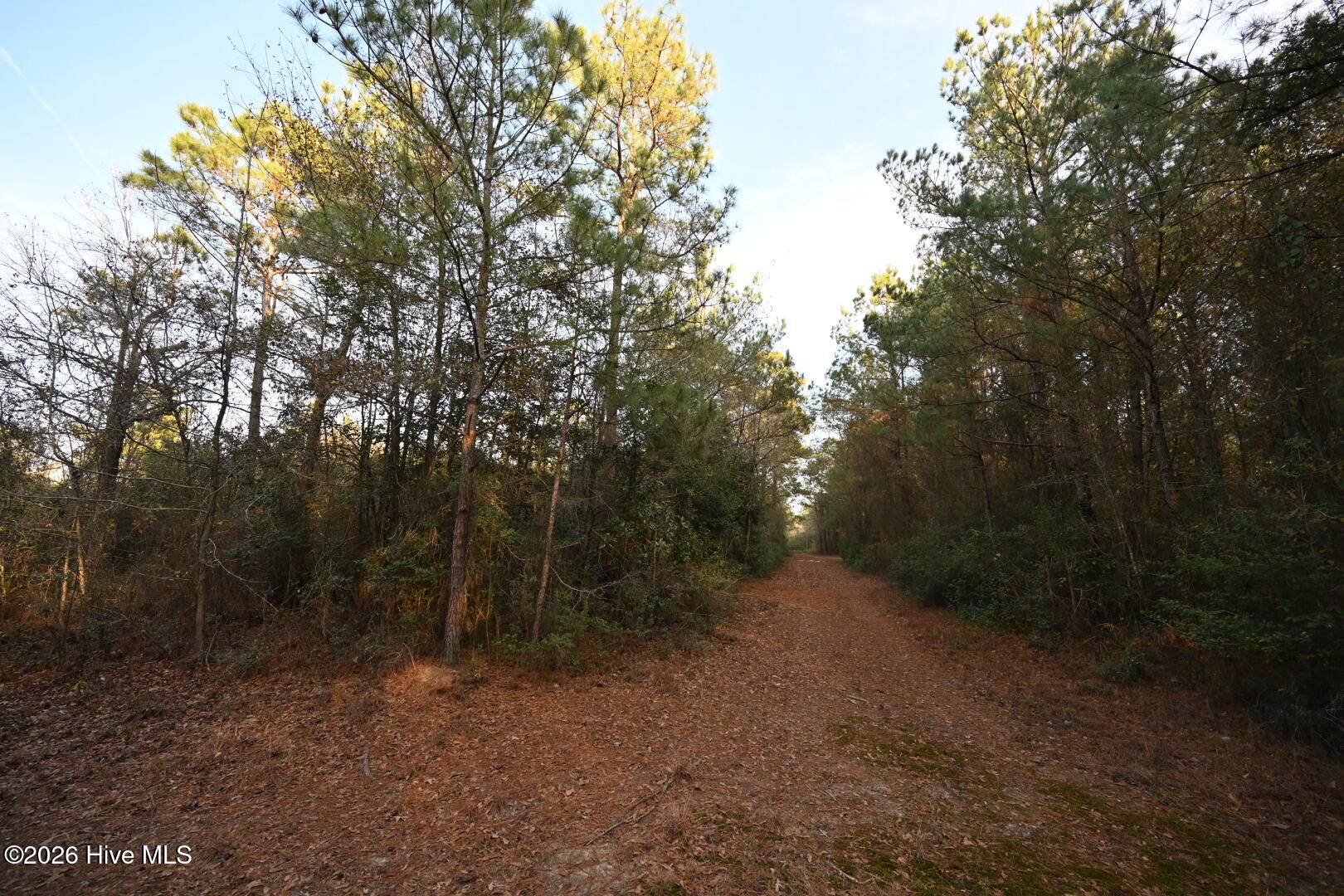000 Rogers Mill Road Property Photo 39