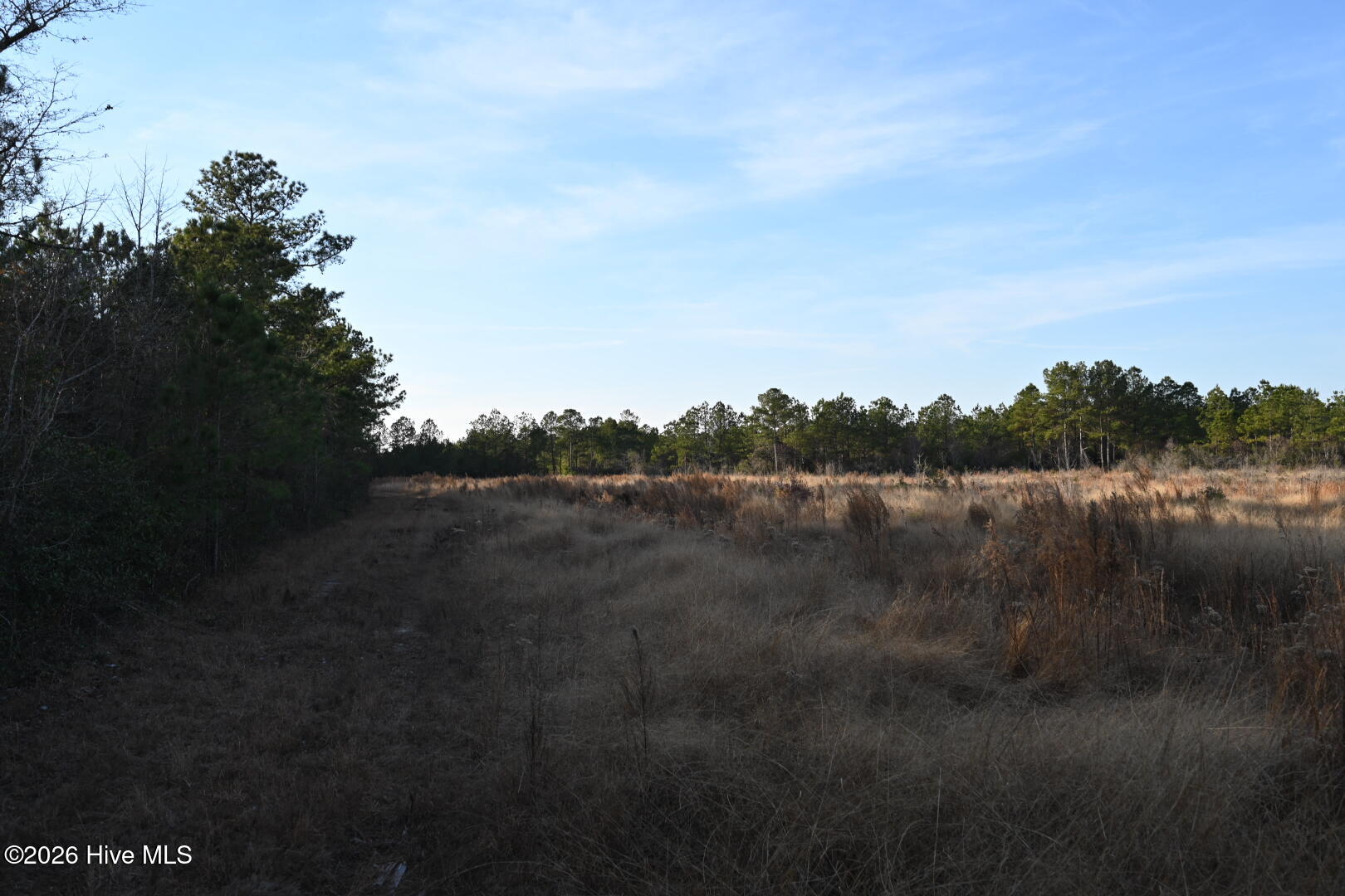 000 Rogers Mill Road Property Photo 42