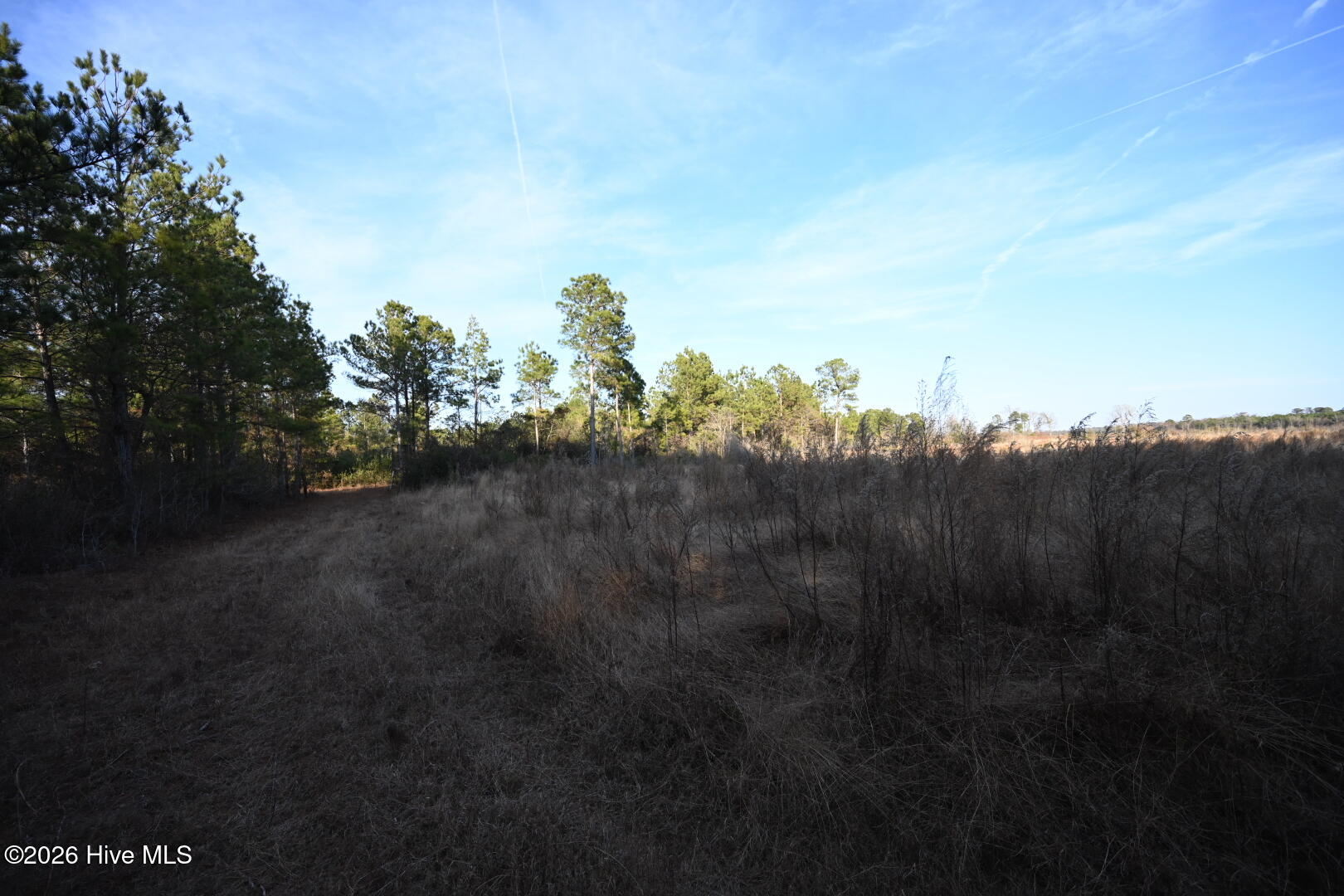 000 Rogers Mill Road Property Photo 43