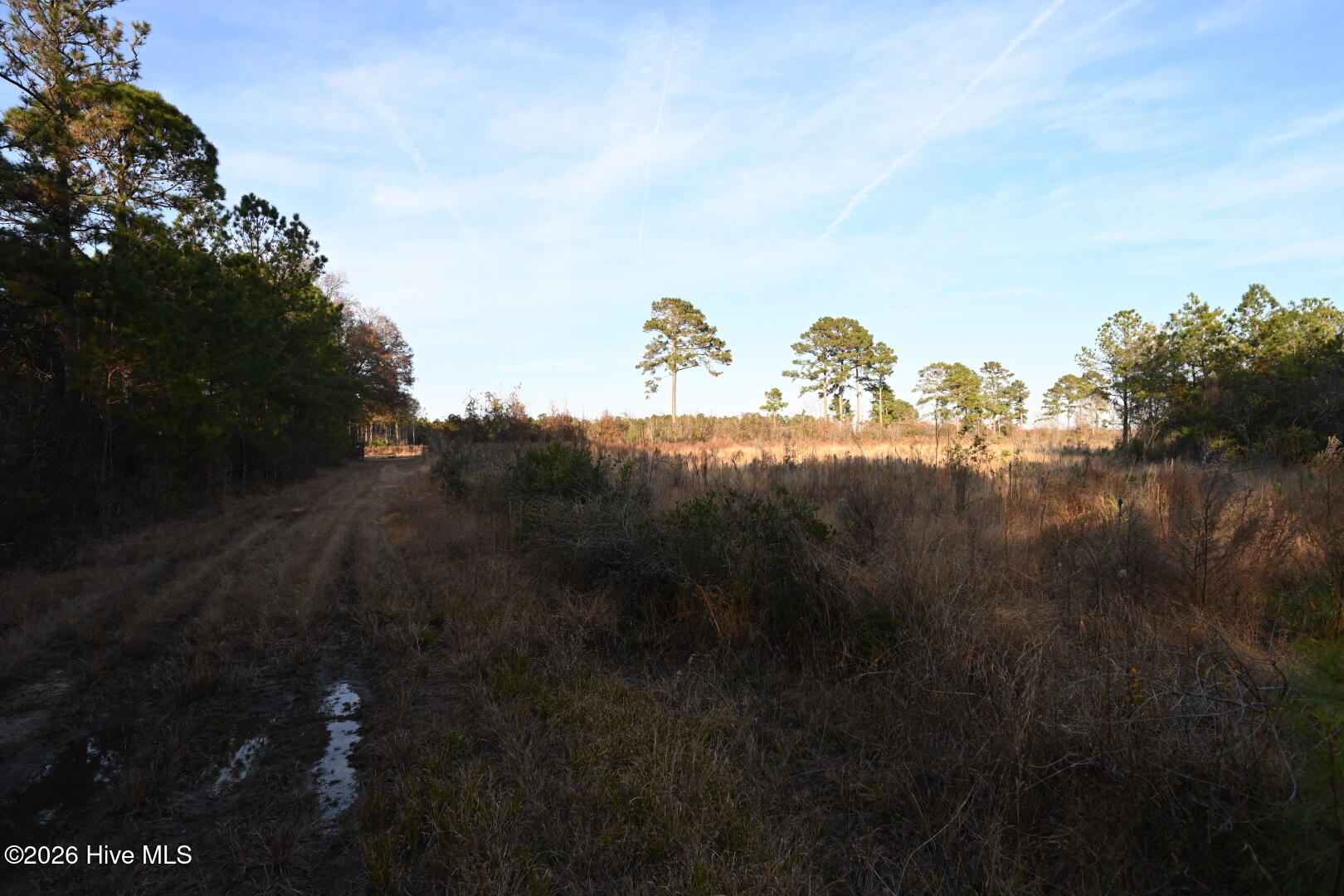 000 Rogers Mill Road Property Photo 46