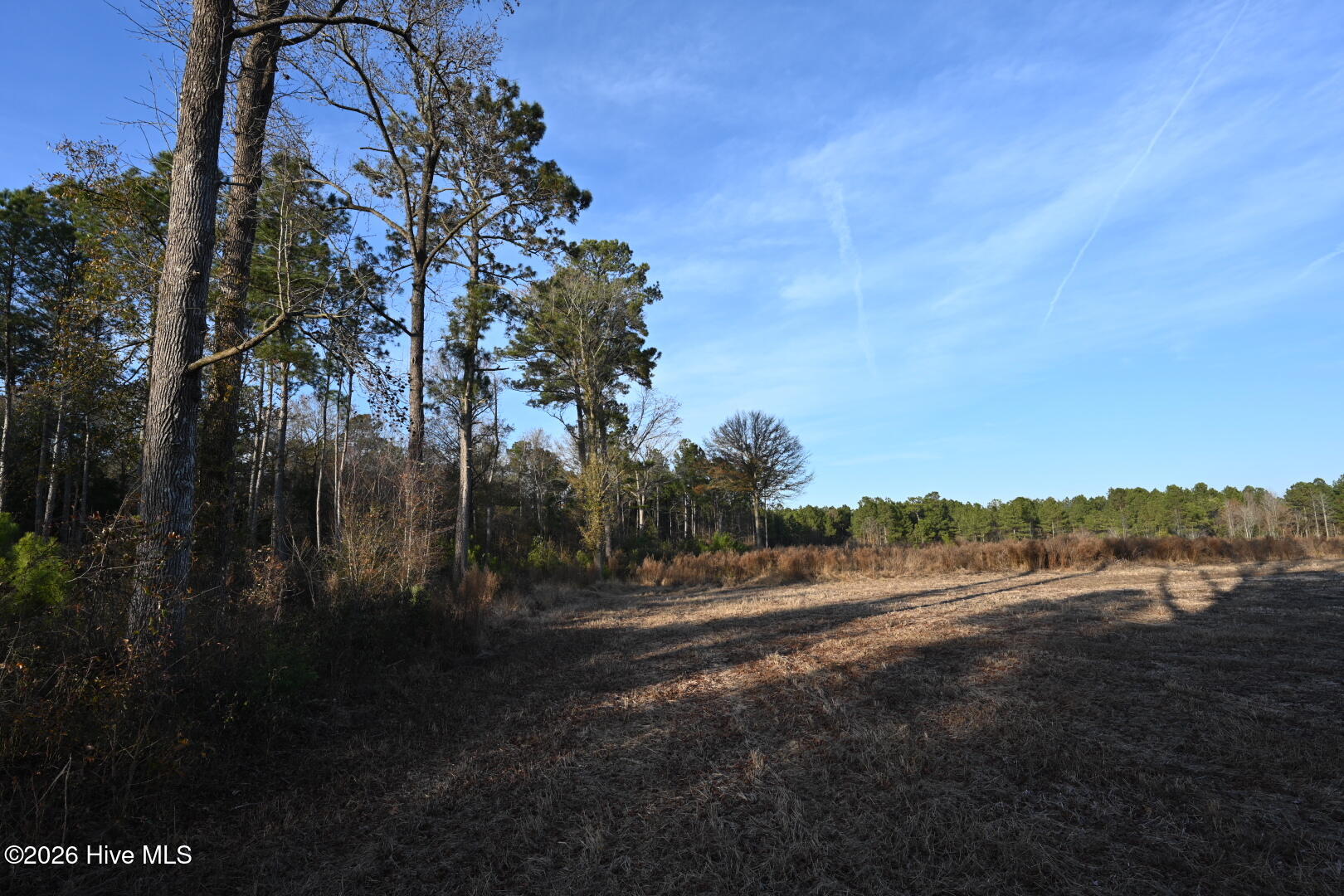 000 Rogers Mill Road Property Photo 47