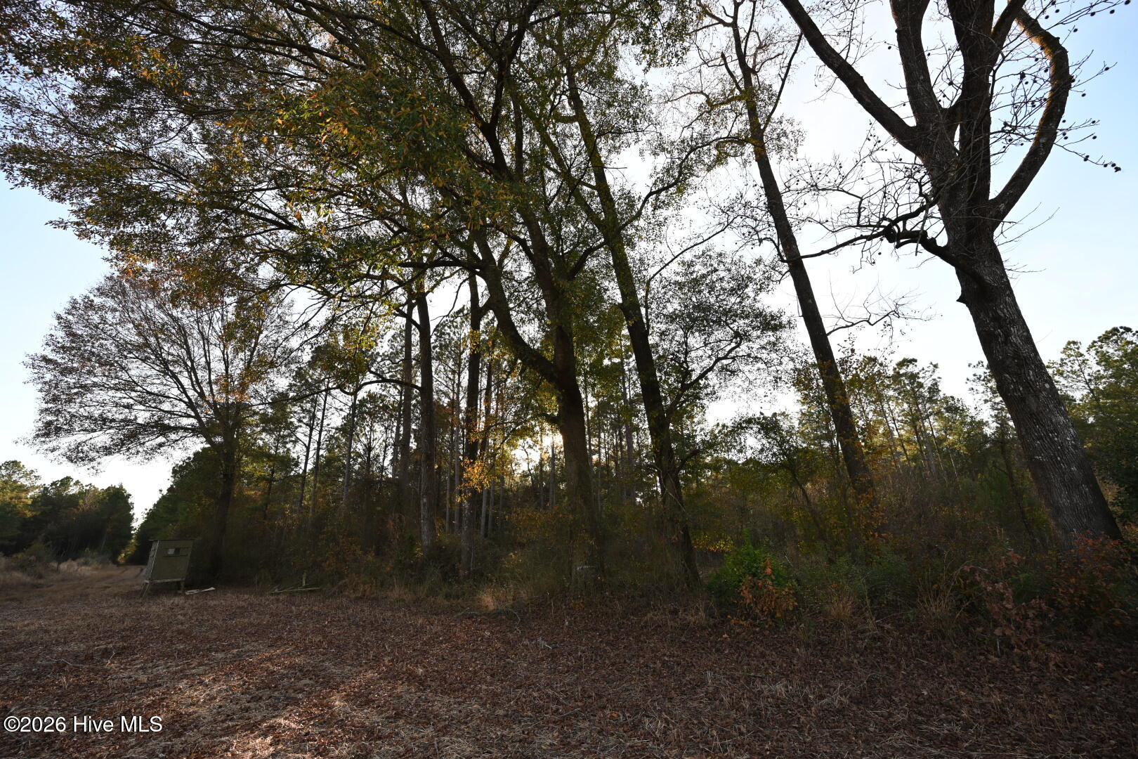 000 Rogers Mill Road Property Photo 50