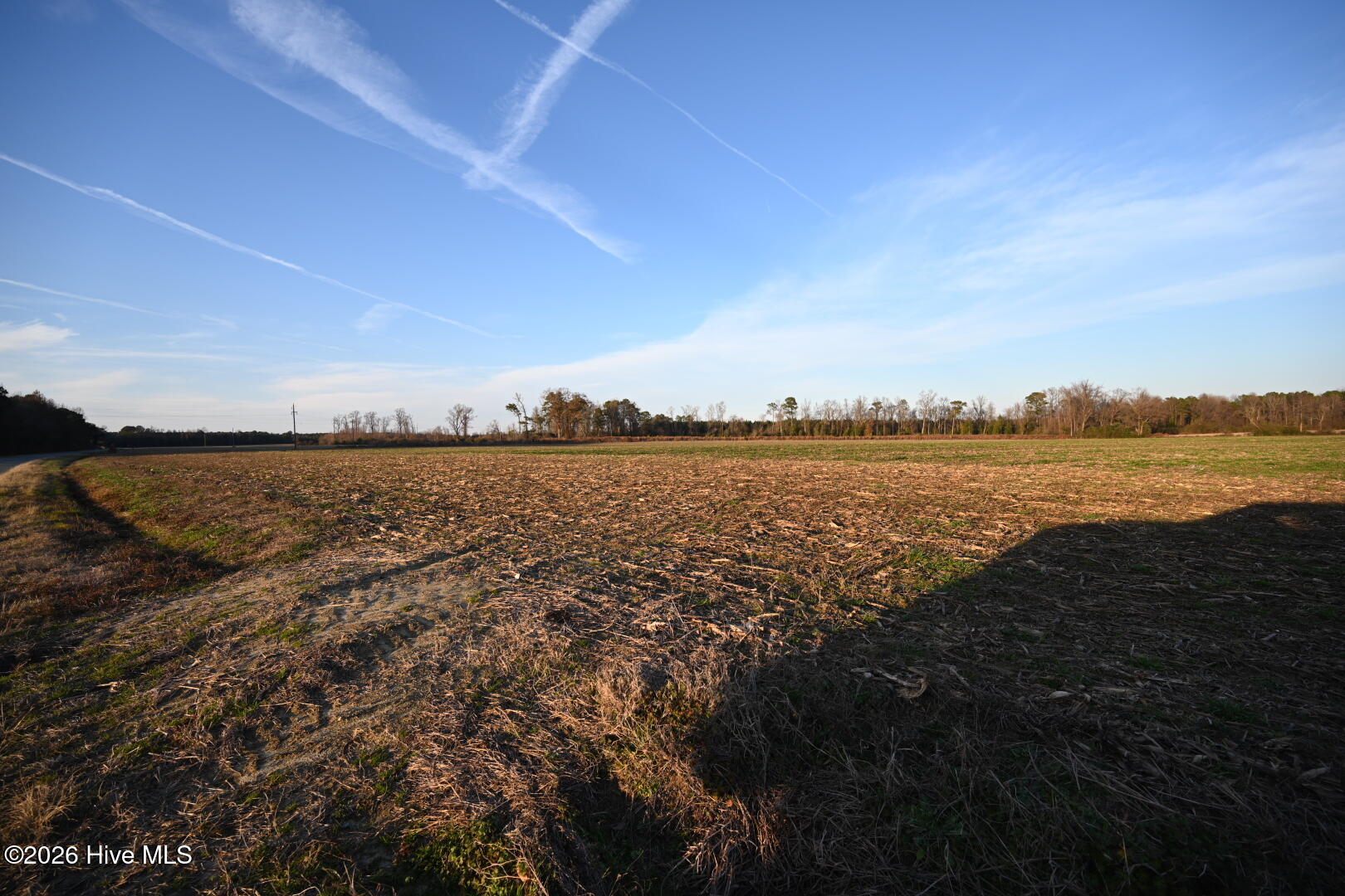 000 Rogers Mill Road Property Photo 60