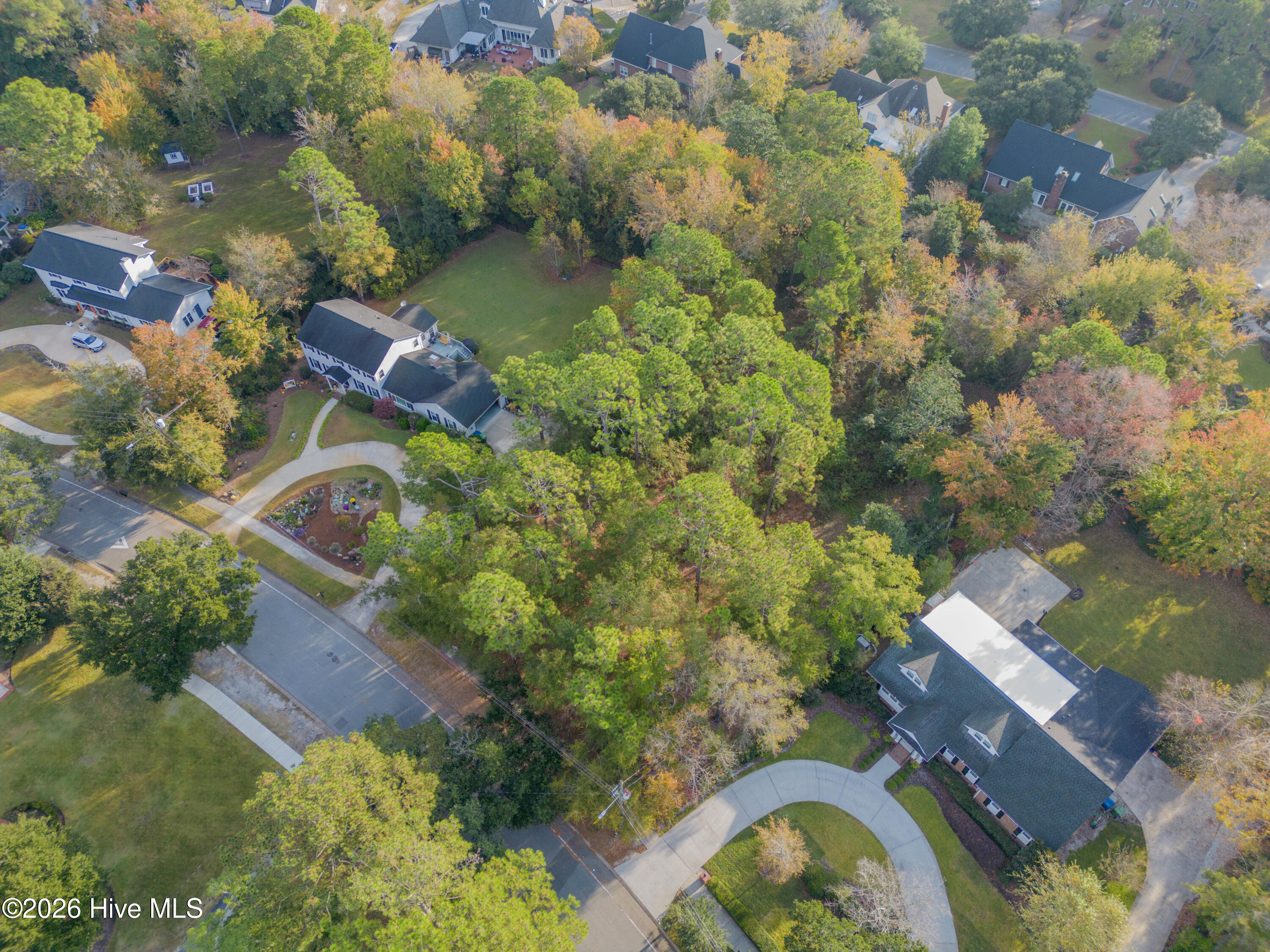 2225 S Live Oak Parkway Property Photo 60