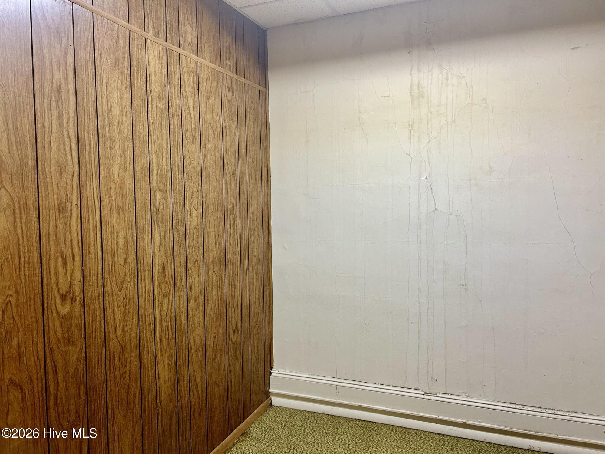 204 E Railroad Street Property Photo 29