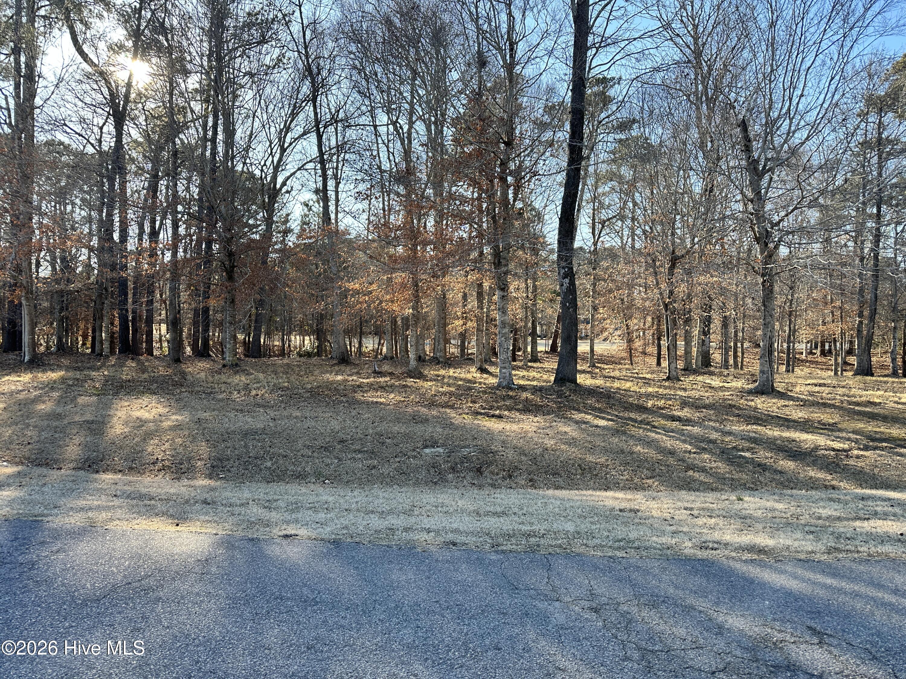 173 S-13 Roanoke Drive Property Photo 2