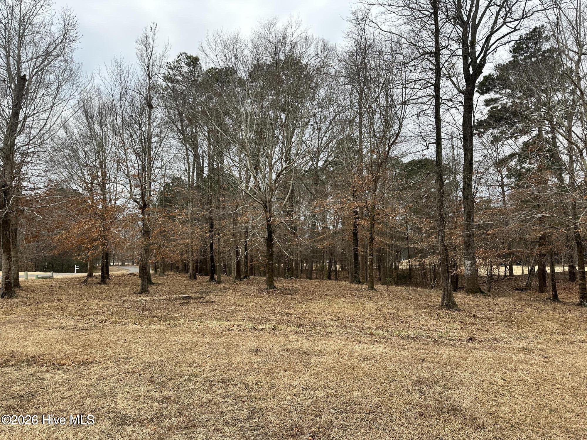 173 S-13 Roanoke Drive Property Photo 4