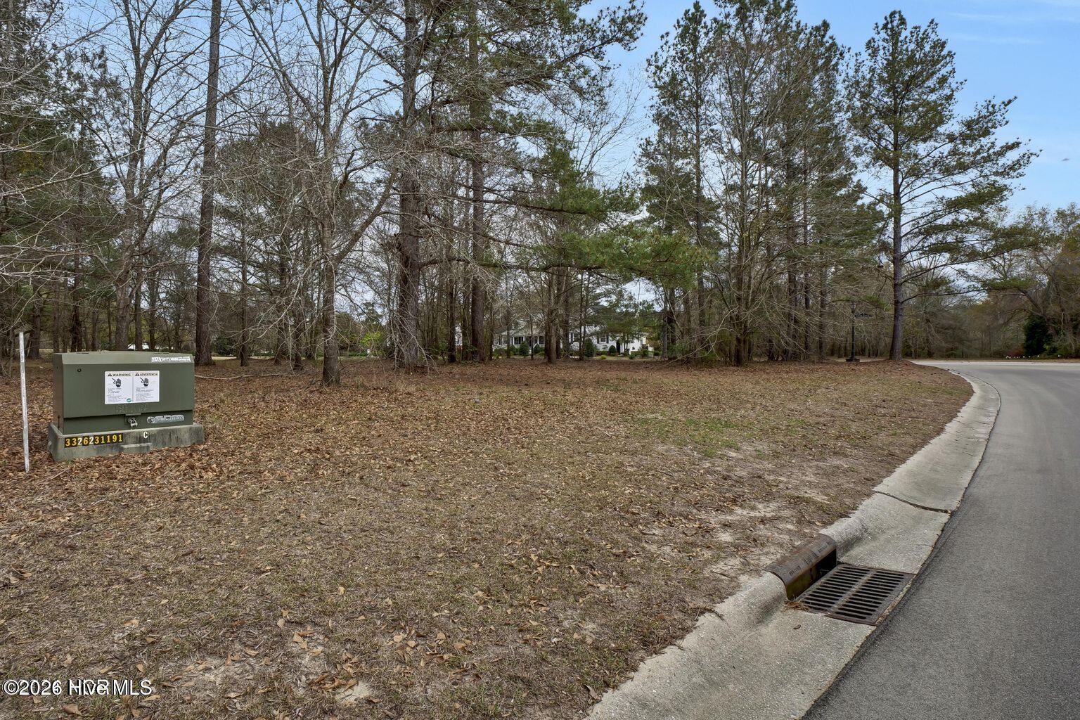 106 Cape Jasmine Lane Property Photo 10