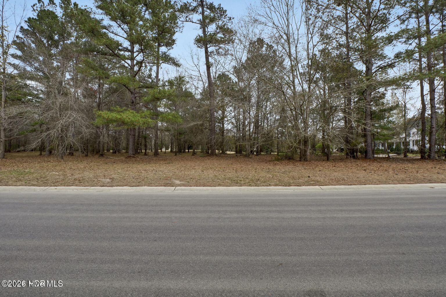 106 Cape Jasmine Lane Property Photo 11