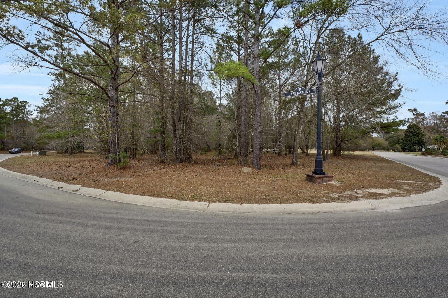 106 Cape Jasmine Lane Property Photo 12