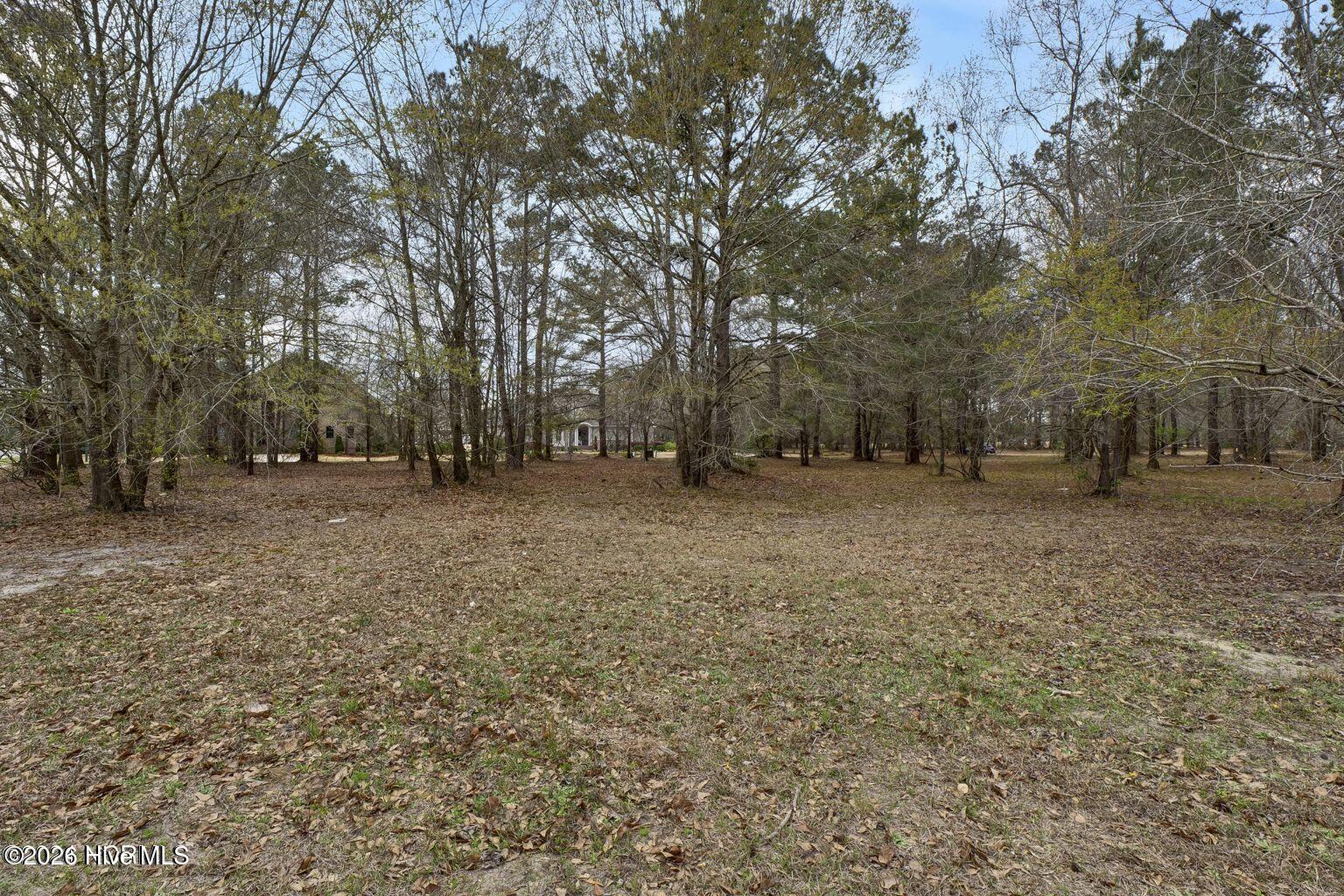 106 Cape Jasmine Lane Property Photo 14