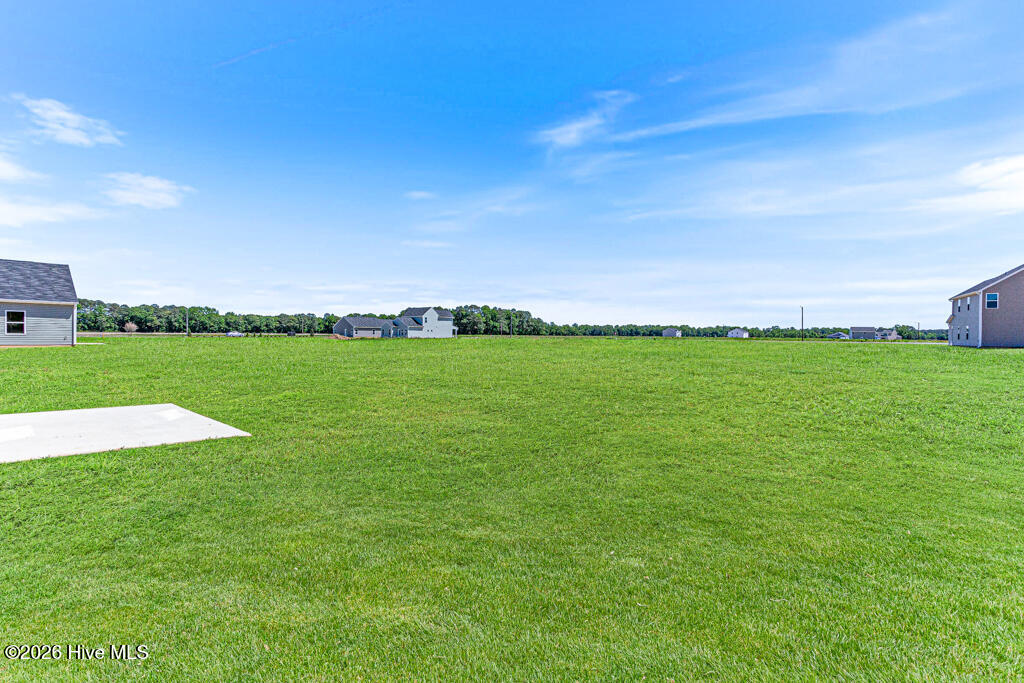 2217 Nahunta Road Property Photo 11