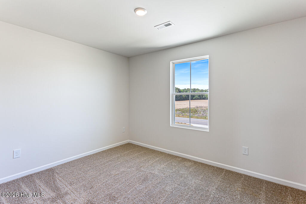 2217 Nahunta Road Property Photo 16