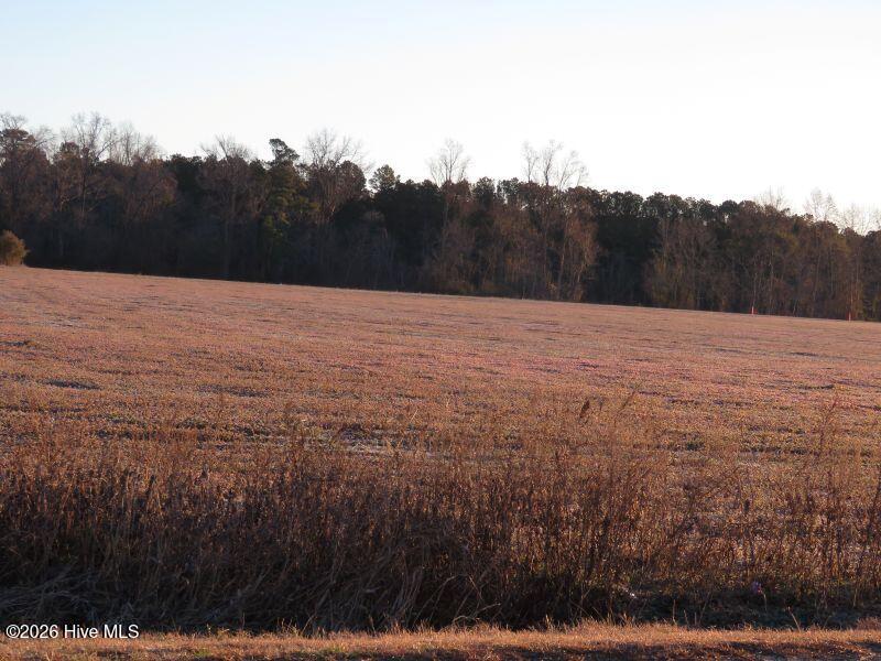 Tract 2 2 E Raynham Road Property Photo 4