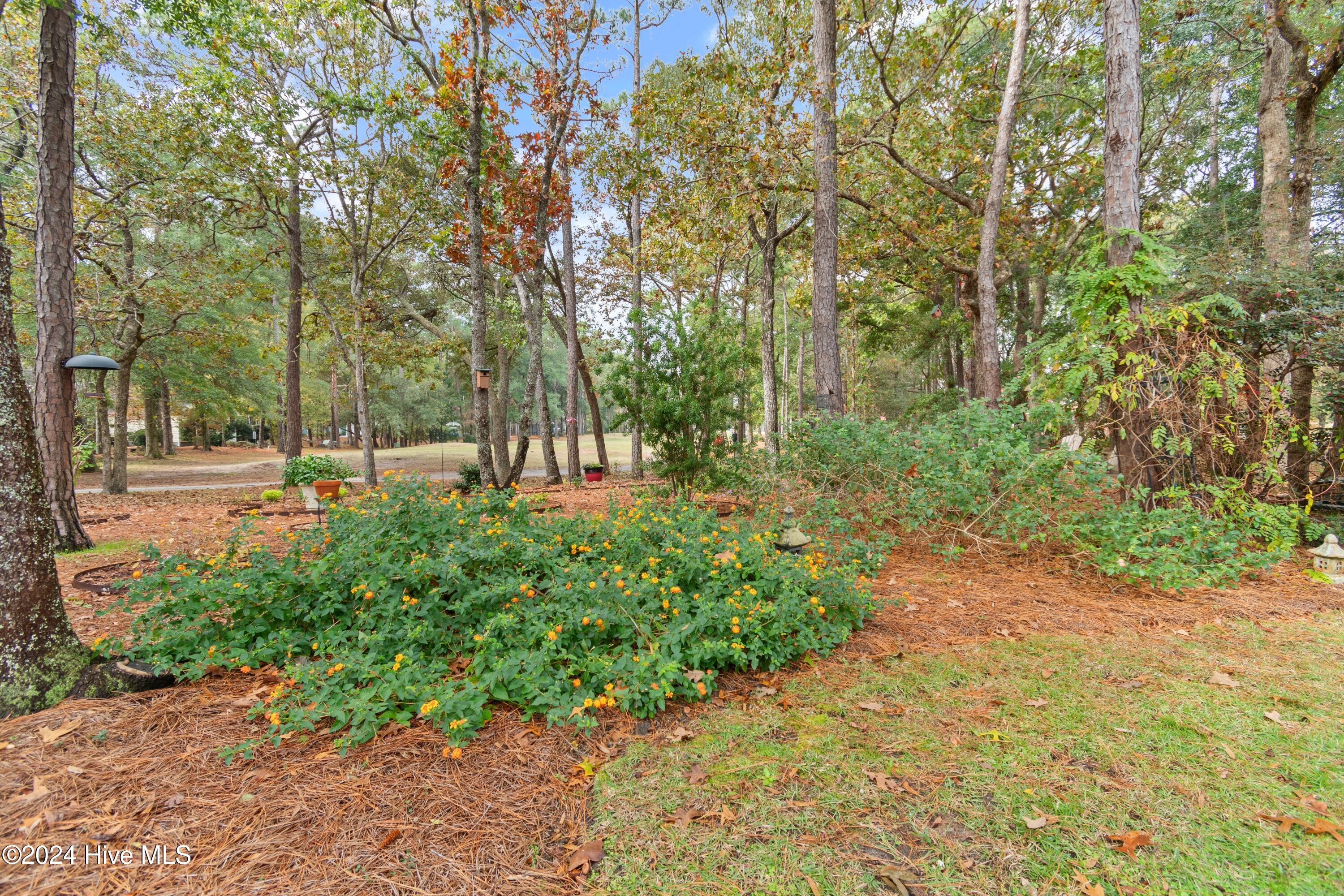 349 Lockwood Lane Sw Property Photo 42