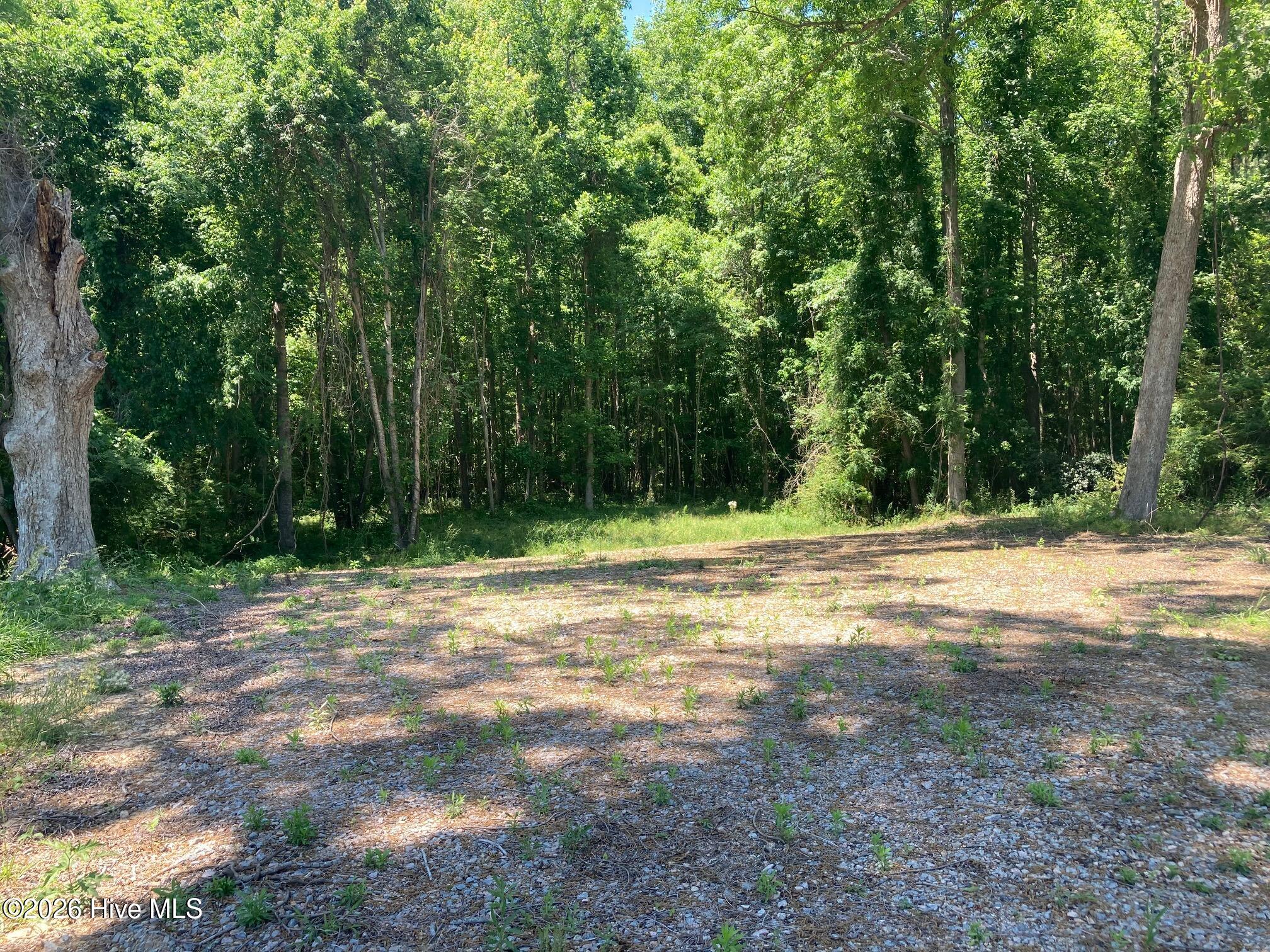 316 Bayview Road Property Photo 13