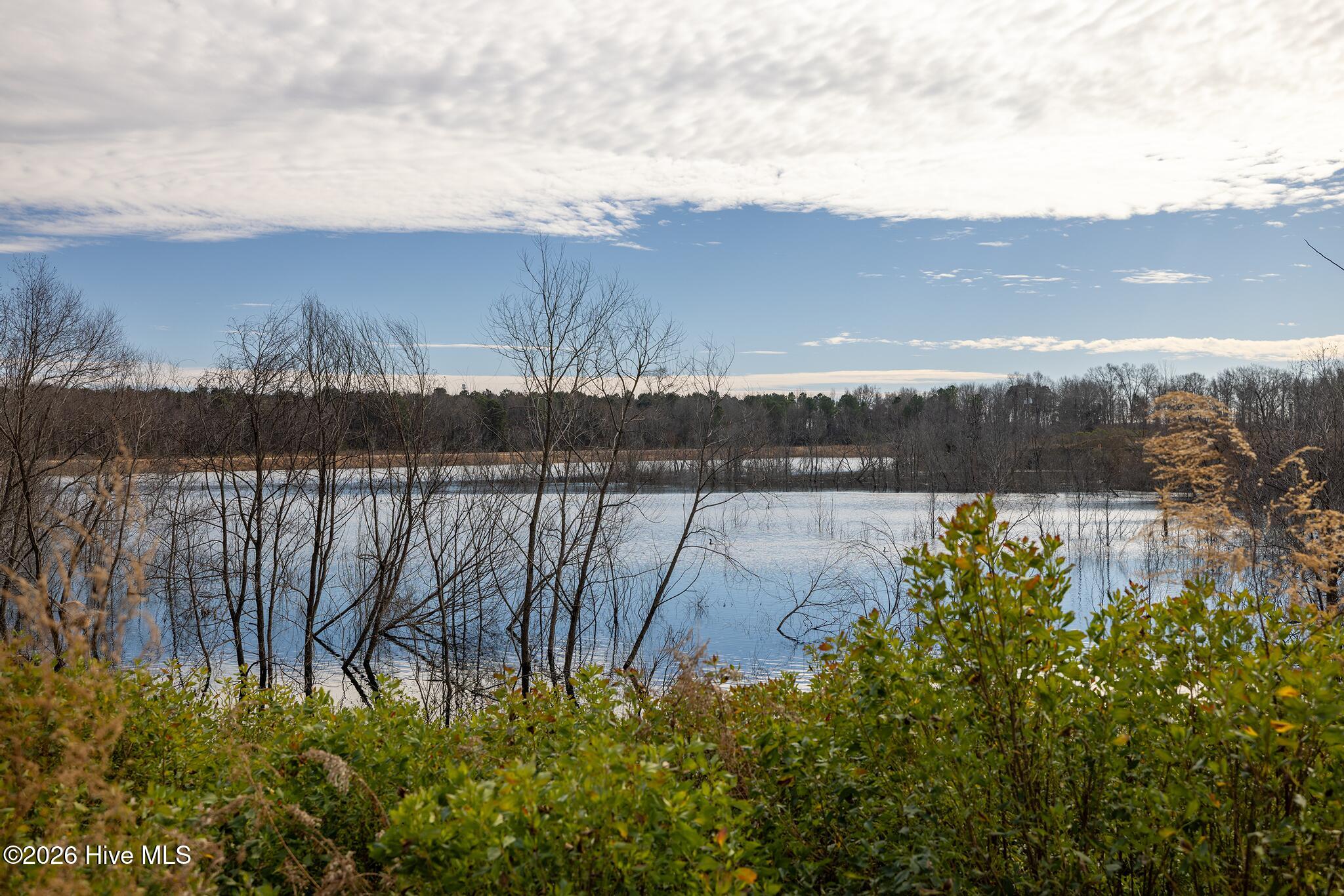 913 Caratoke Lot 2 Highway Property Photo 20