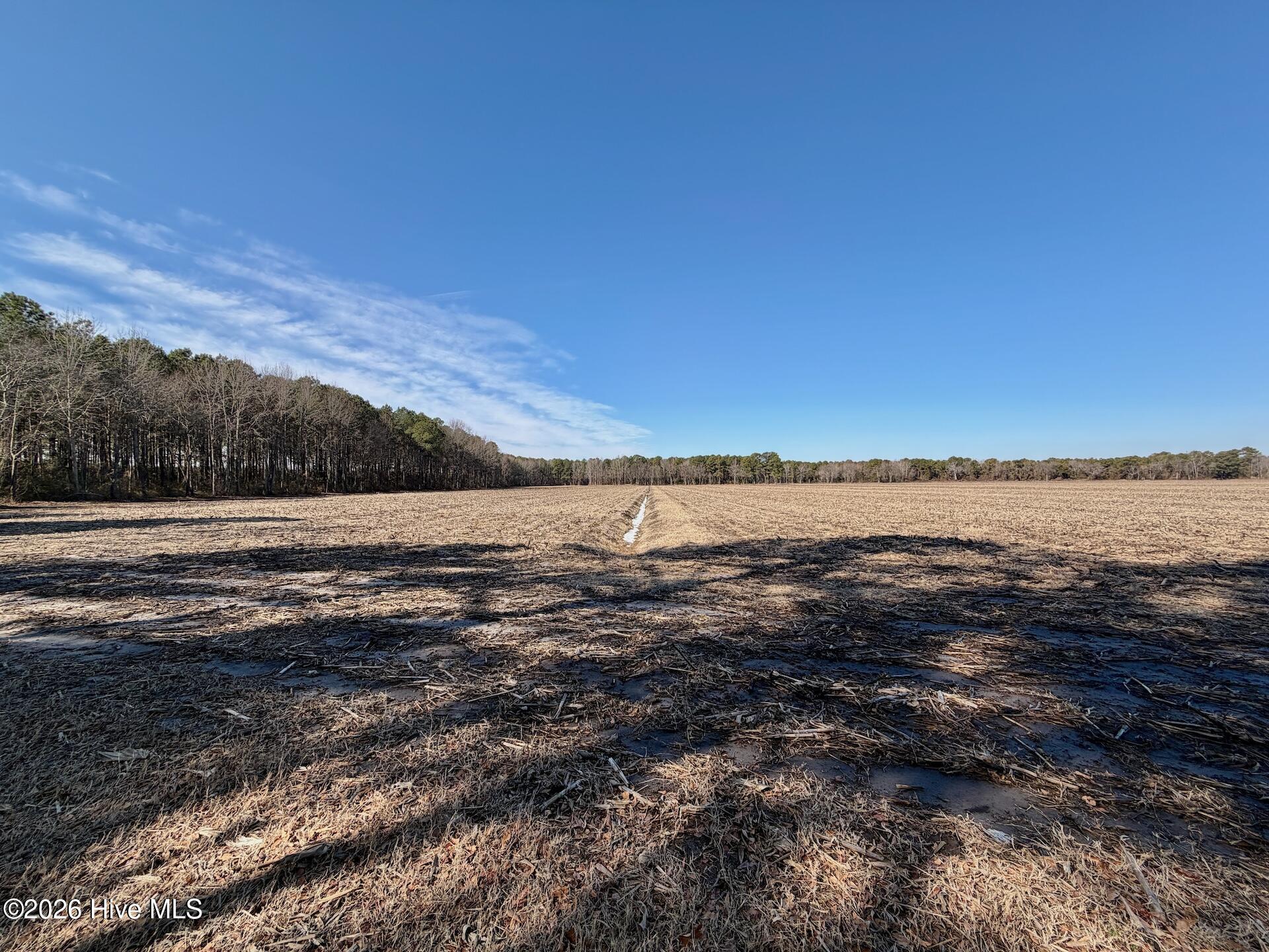 0 Sandy Ridge Road Property Photo 3